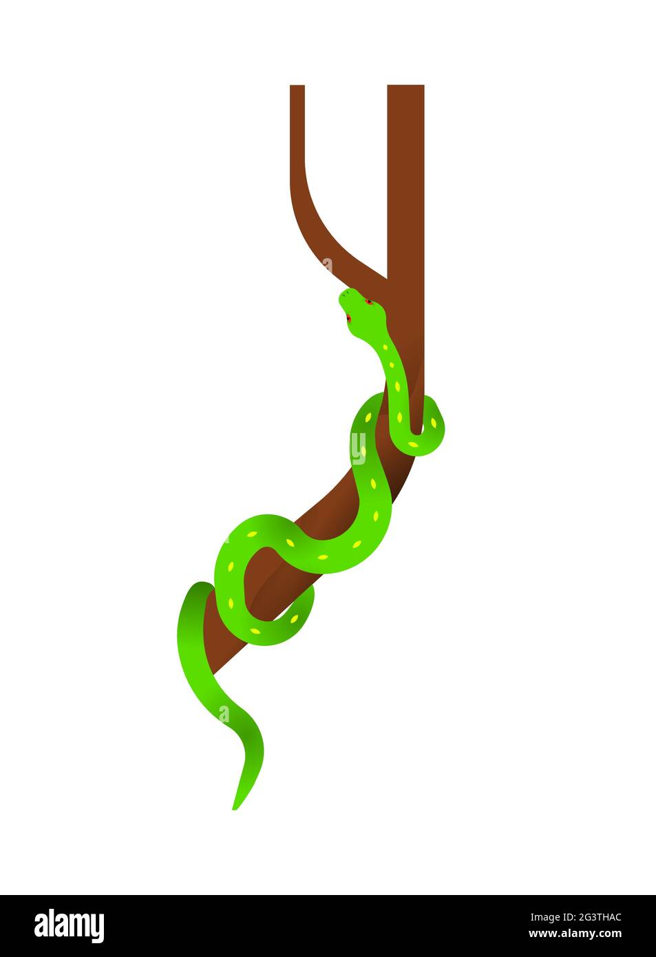Dangerous green snake illustration on isolated white background. Exotic jungle reptile animal concept. Educational wildlife design in modern cartoon s Stock Vector