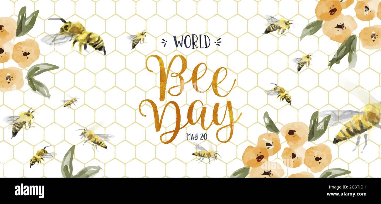 Watercolor Flower Honey Bee High Resolution Stock Photography And Images Alamy Watercolor Flower Honey Bee High Resolution Stock Photography And Images Alamy