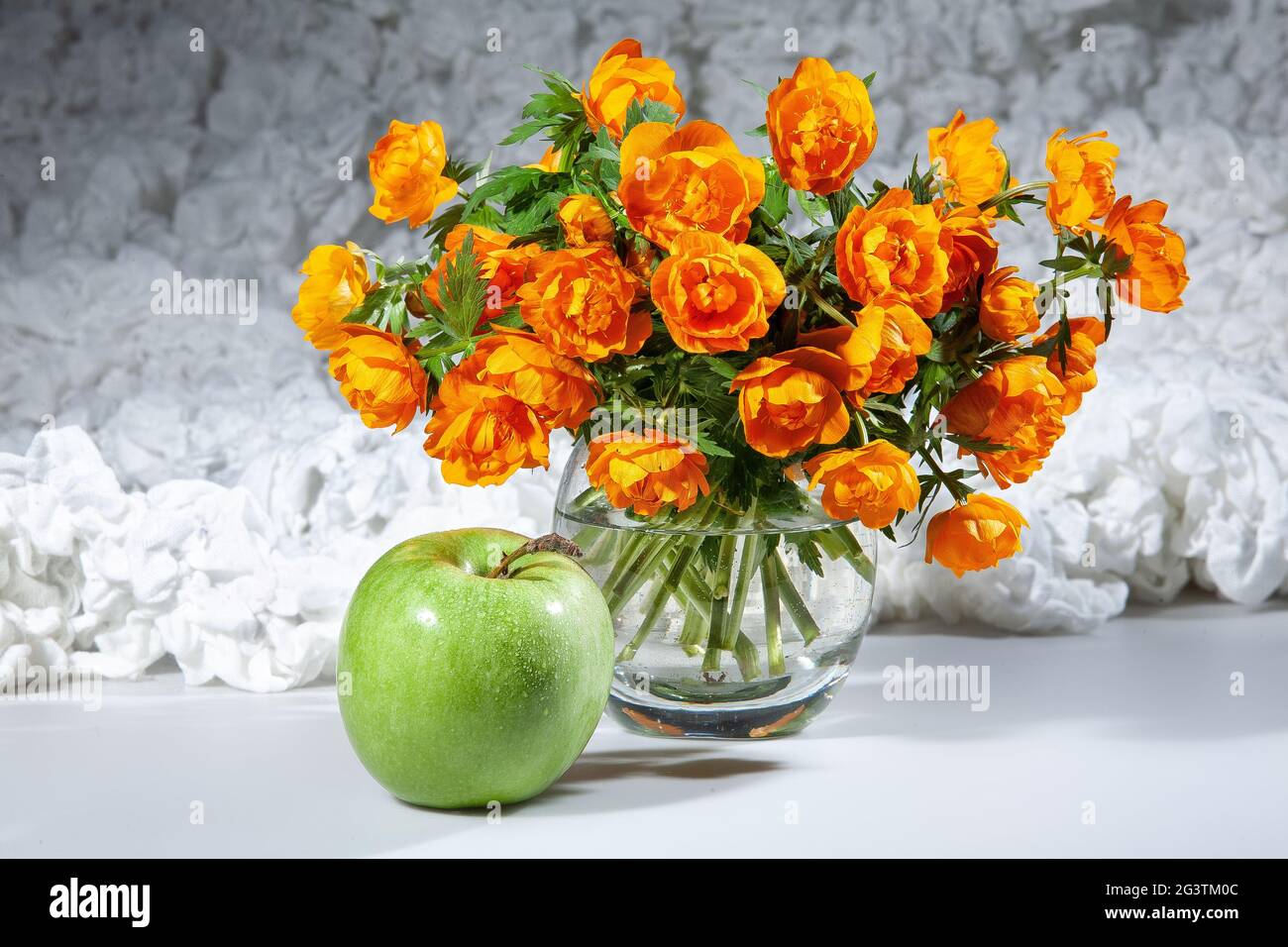 Nature still life art hi-res stock photography and images - Alamy
