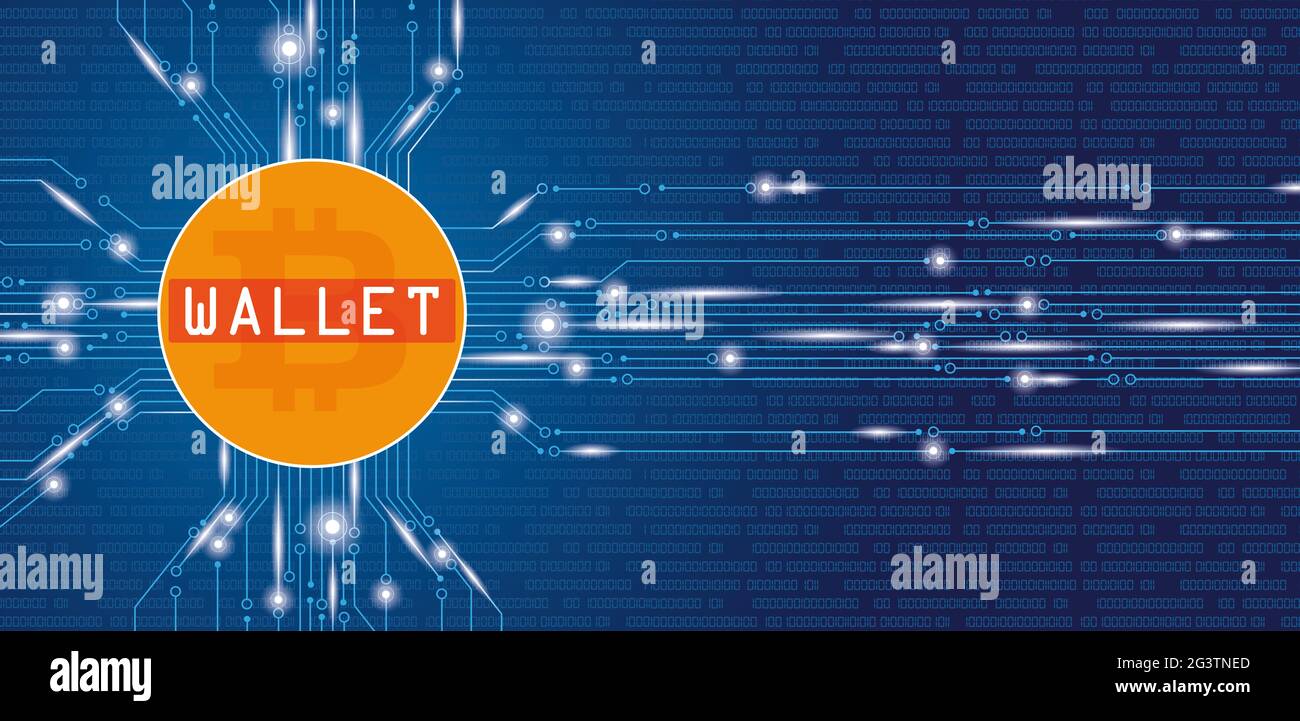 Bitcoin wallet vector hi-res stock photography and images - Alamy