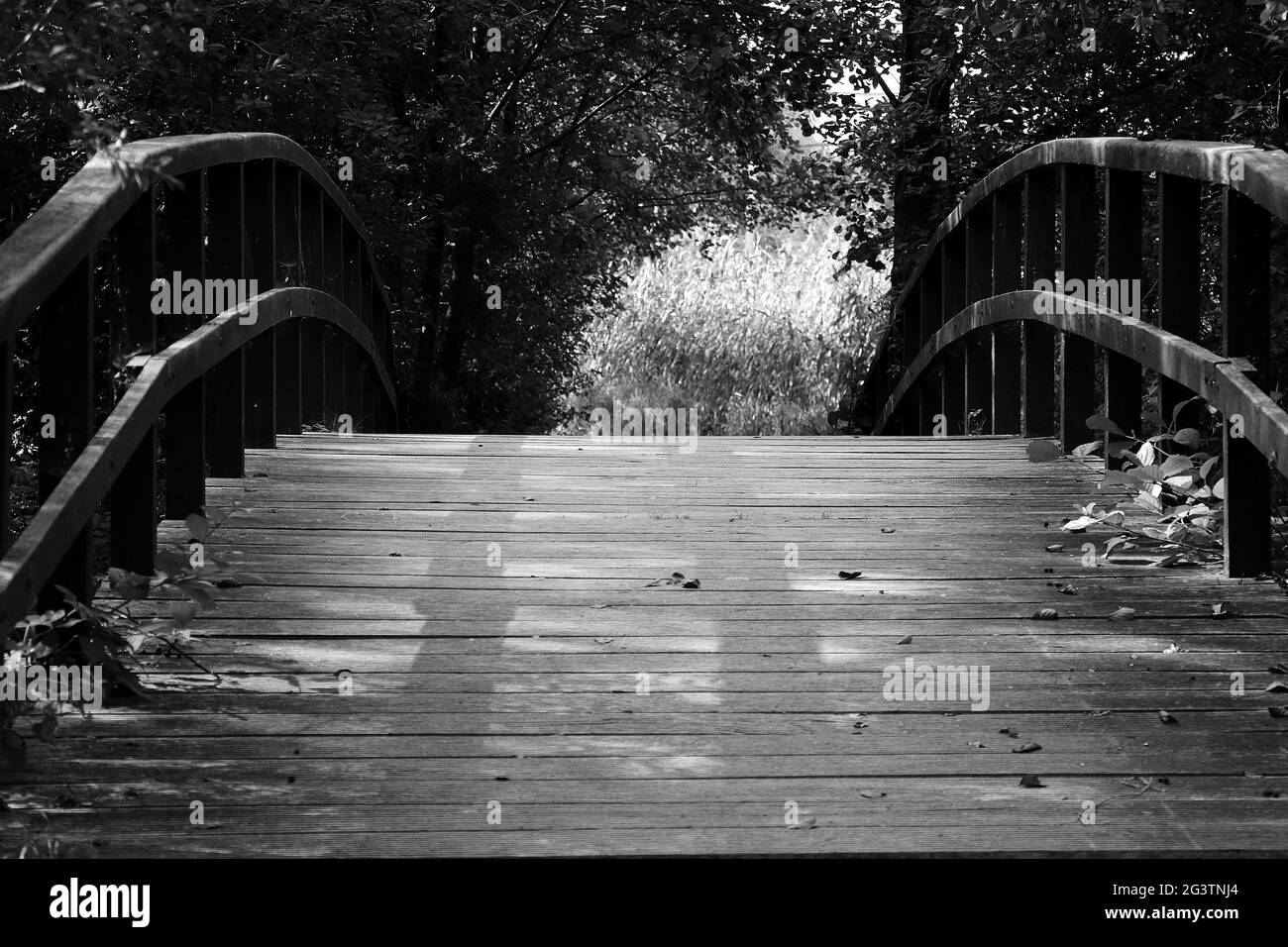 Timber pedestrian bridge Black and White Stock Photos & Images - Alamy