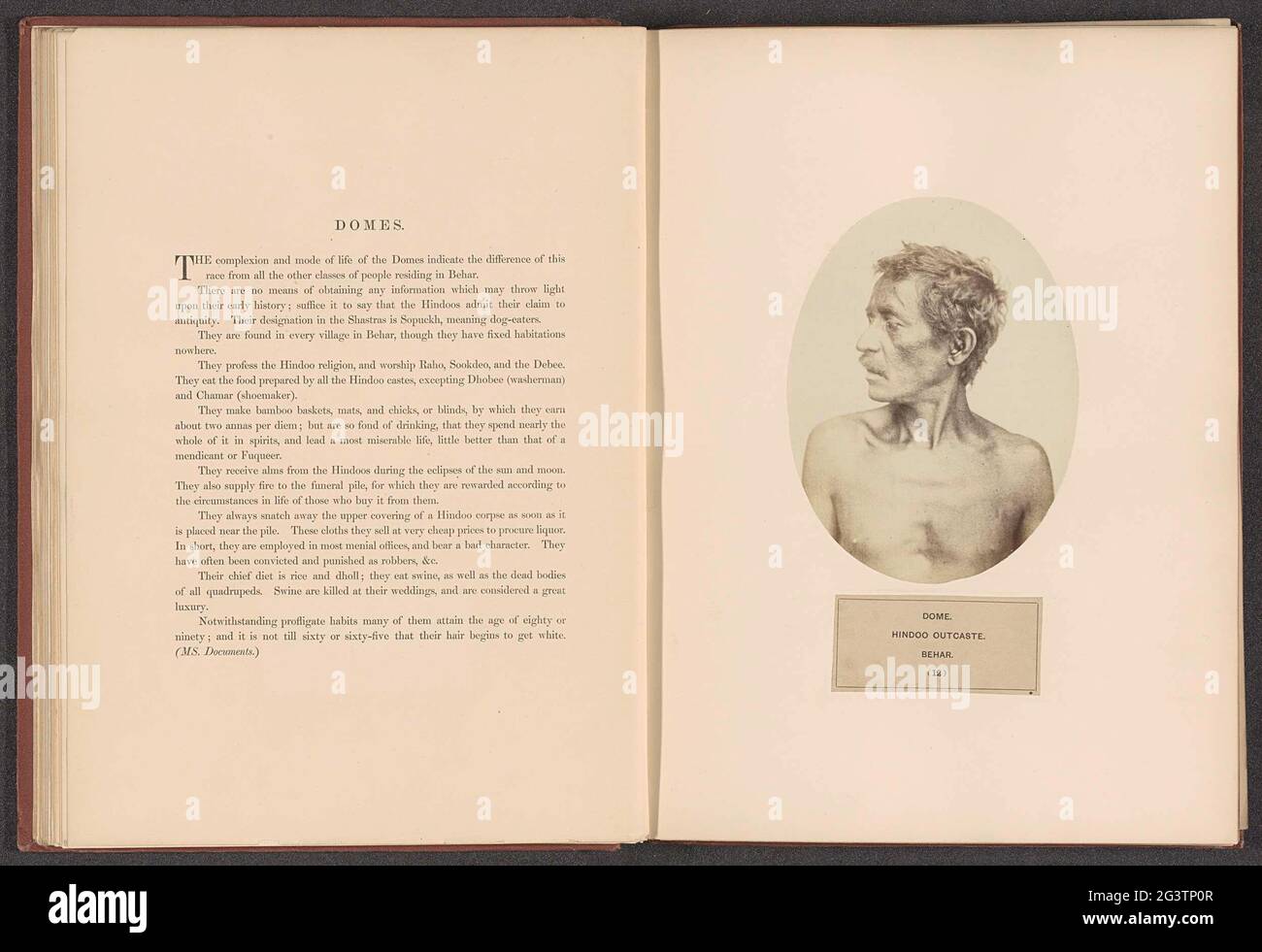 Domba High Resolution Stock Photography And Images Alamy