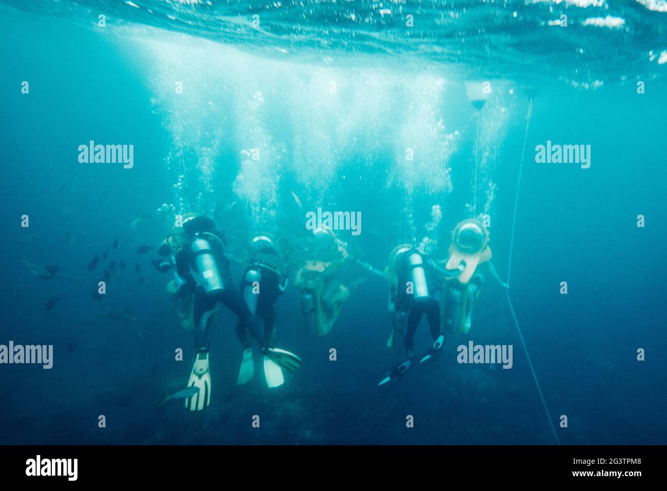 ir High Resolution Stock Photography And Images Alamy