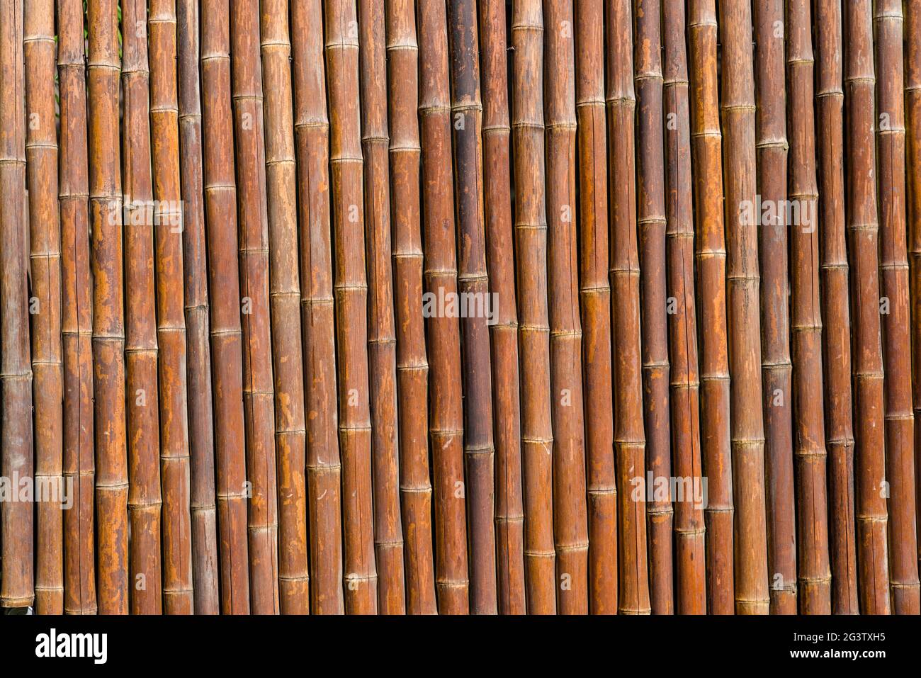 Bamboo fence of tightly placed poles Stock Photo