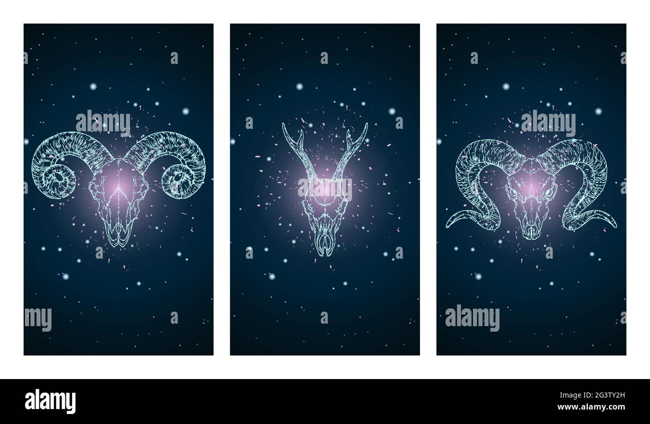 Vector set of three illustrations with silhouettes skulls roe deer and ...