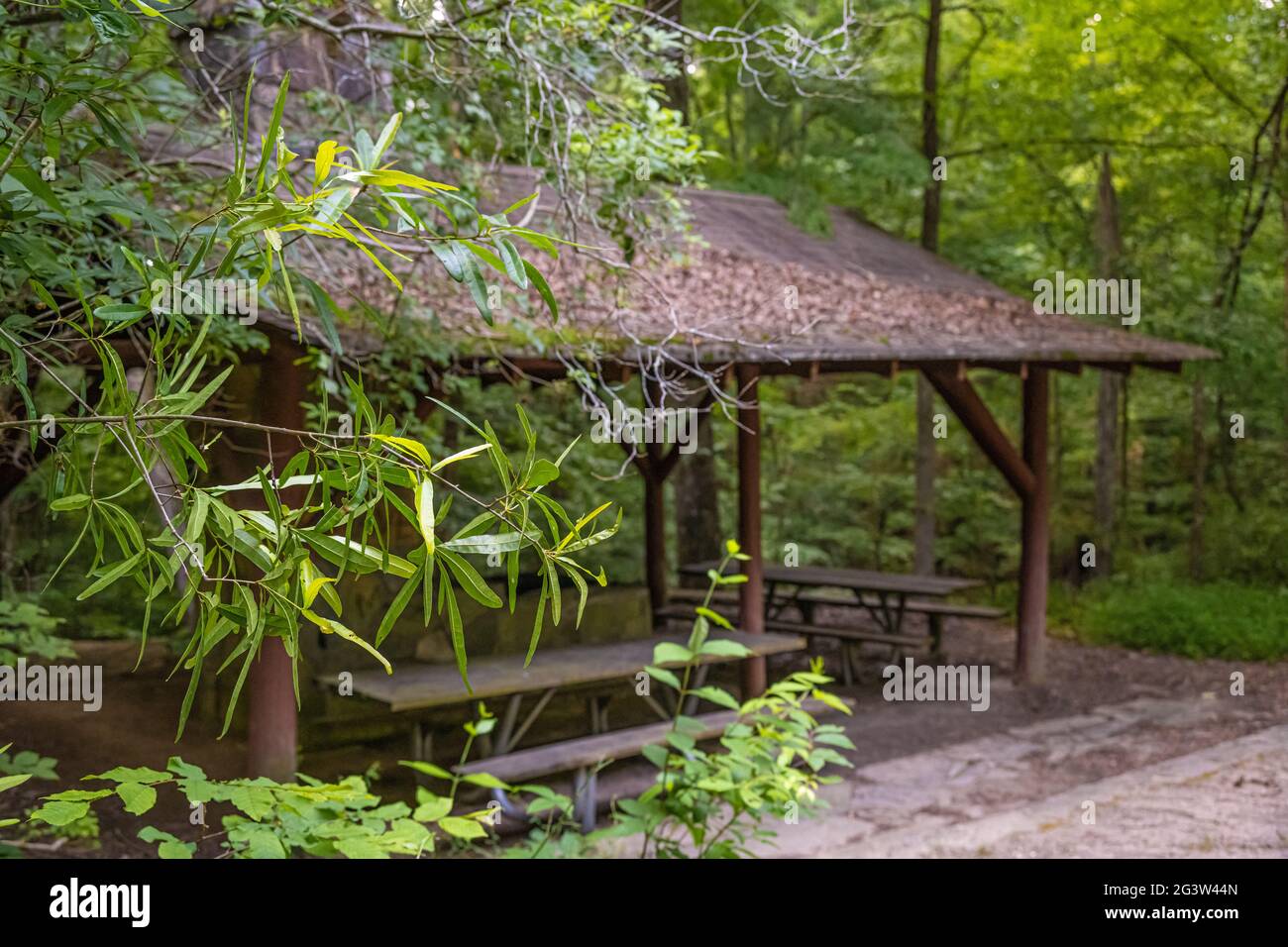 Trailside picnic shelter at Island Ford Park in the Chattahoochee River National Recreation Area in Sandy Springs, just north of Atlanta, GA. (USA) Stock Photo