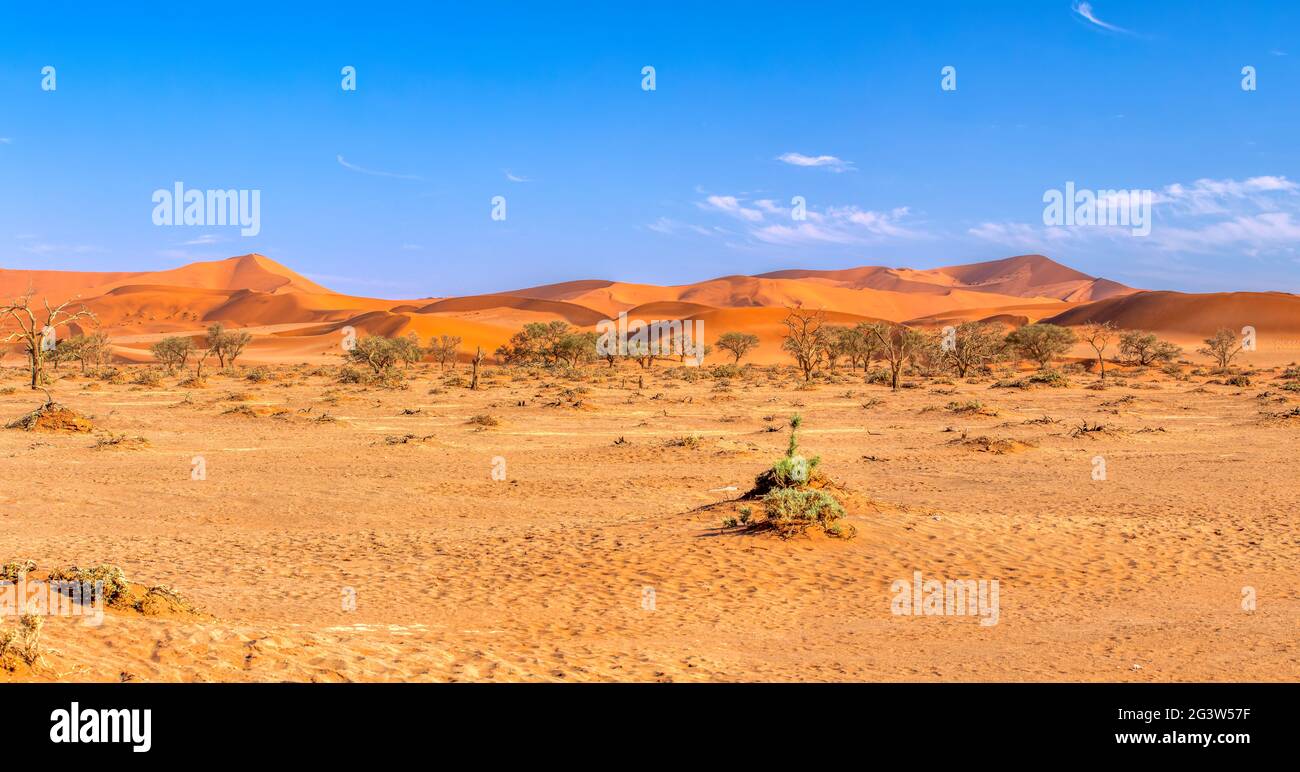 Beautiful Sesriem landscape in Namibia Africa Stock Photo