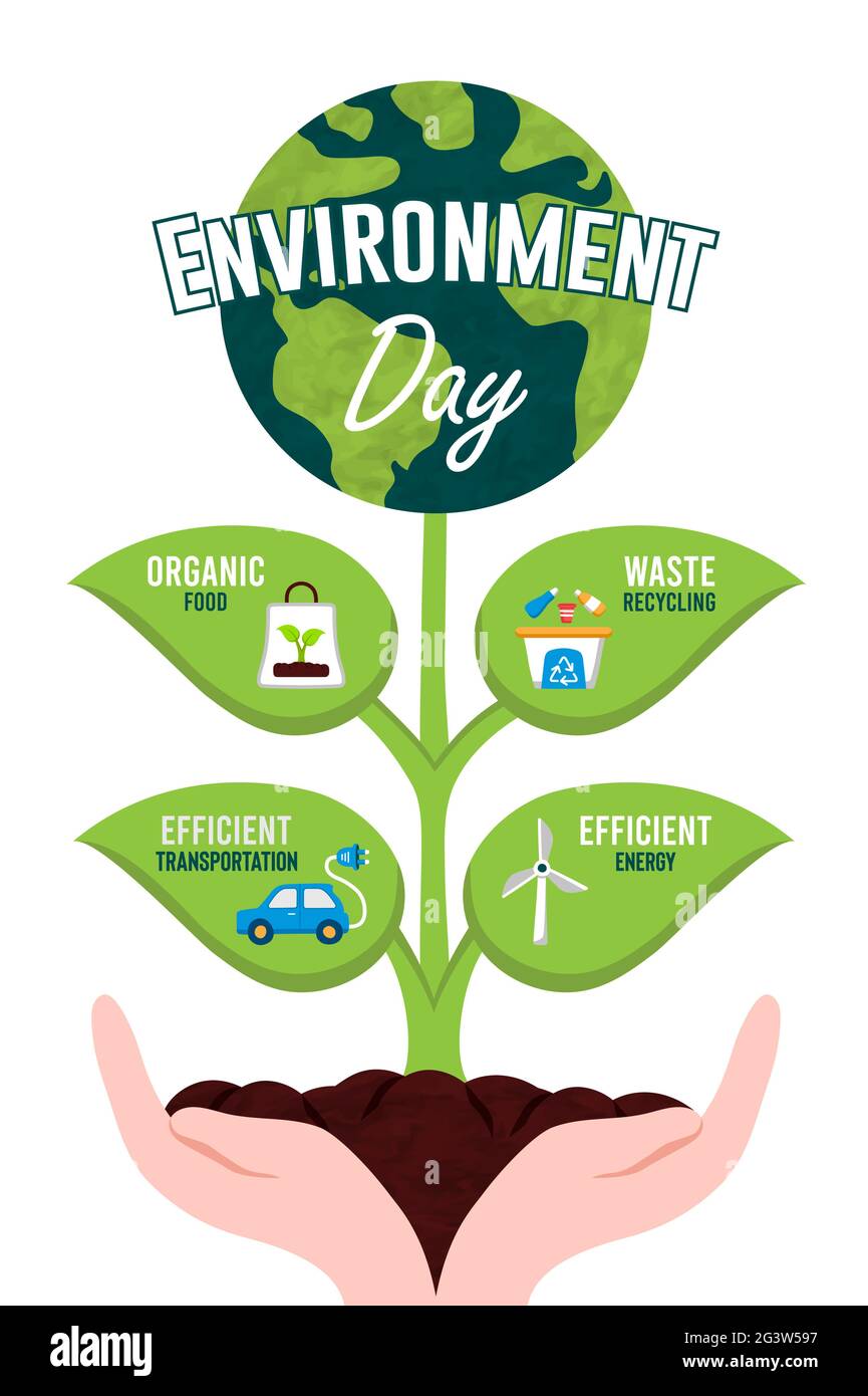 Environment Day infographic template illustration of earth planet plant wih modern flat nature icons. Includes organic food, clean energy and recycle Stock Vector