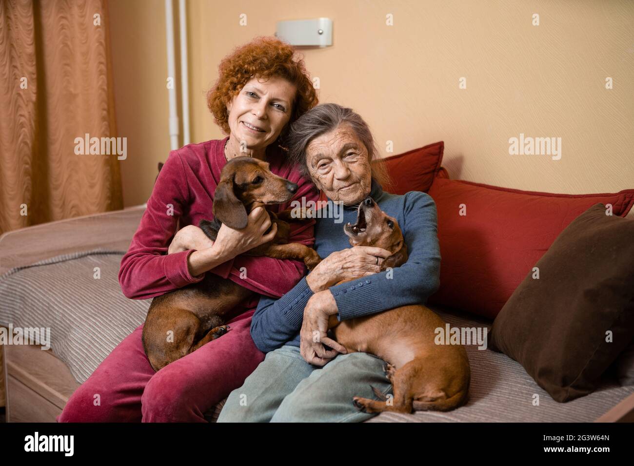 Elder woman and her adult daughter together with two dachshund dogs on sofa indoors spend time happily, portrait. Theme of mothe Stock Photo