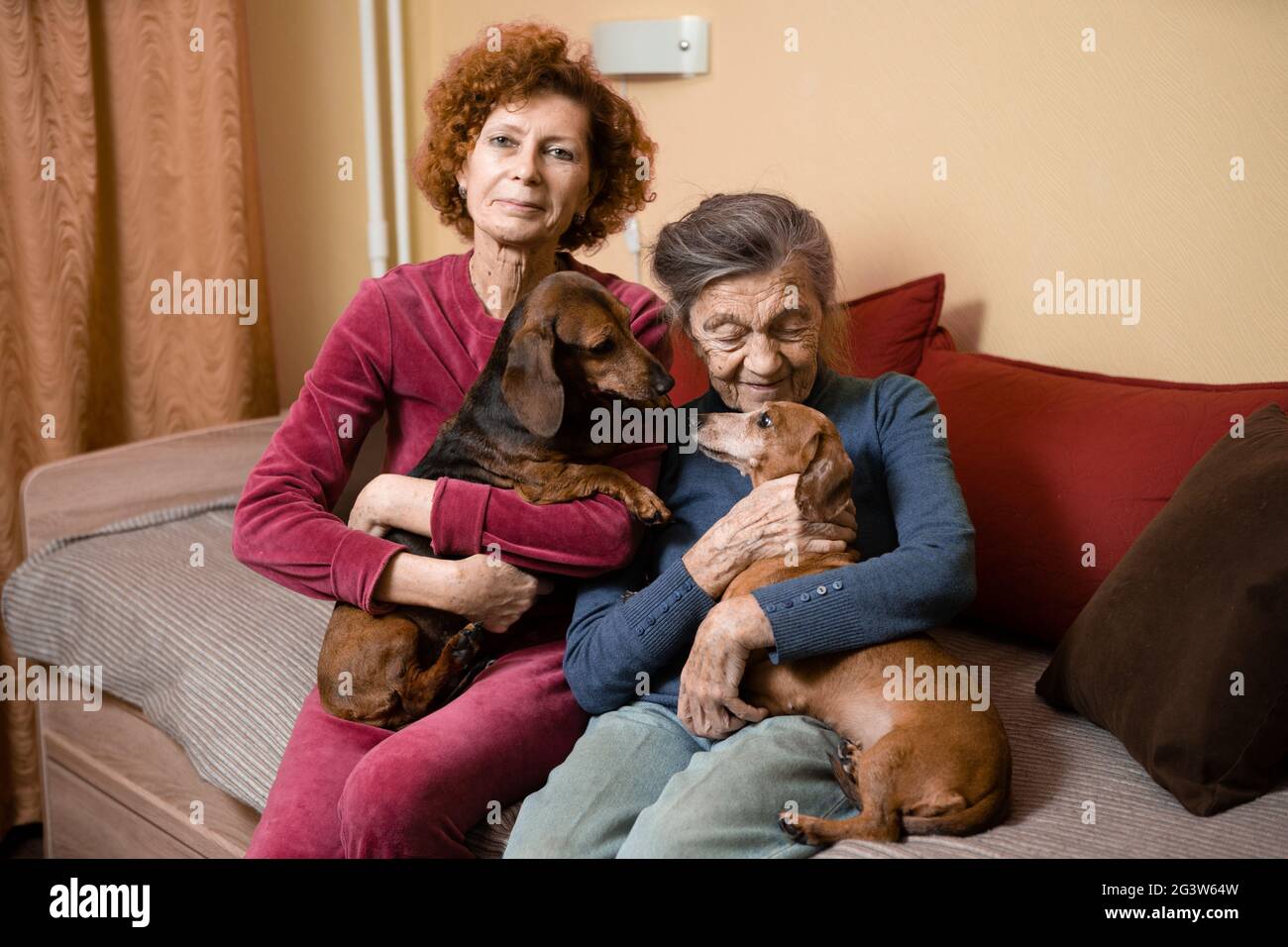 Elder woman and her adult daughter together with two dachshund dogs on sofa indoors spend time happily, portrait. Theme of mothe Stock Photo