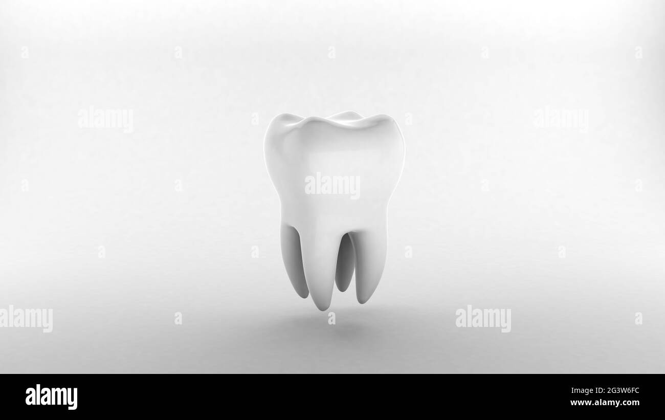 White Tooth on a gray background. 3d render Stock Photo - Alamy