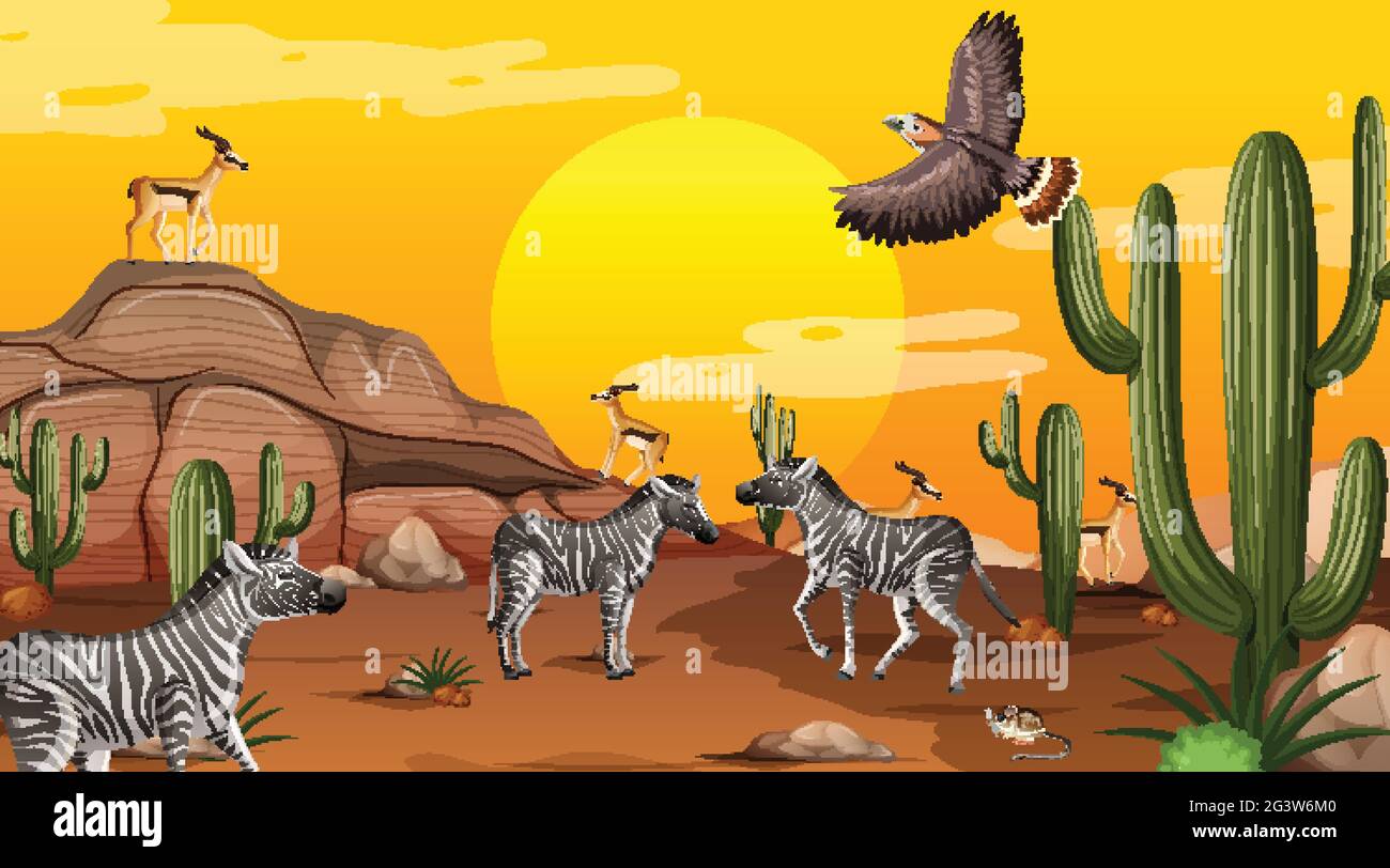 Desert forest landscape at sunset time scene with wild animals ...