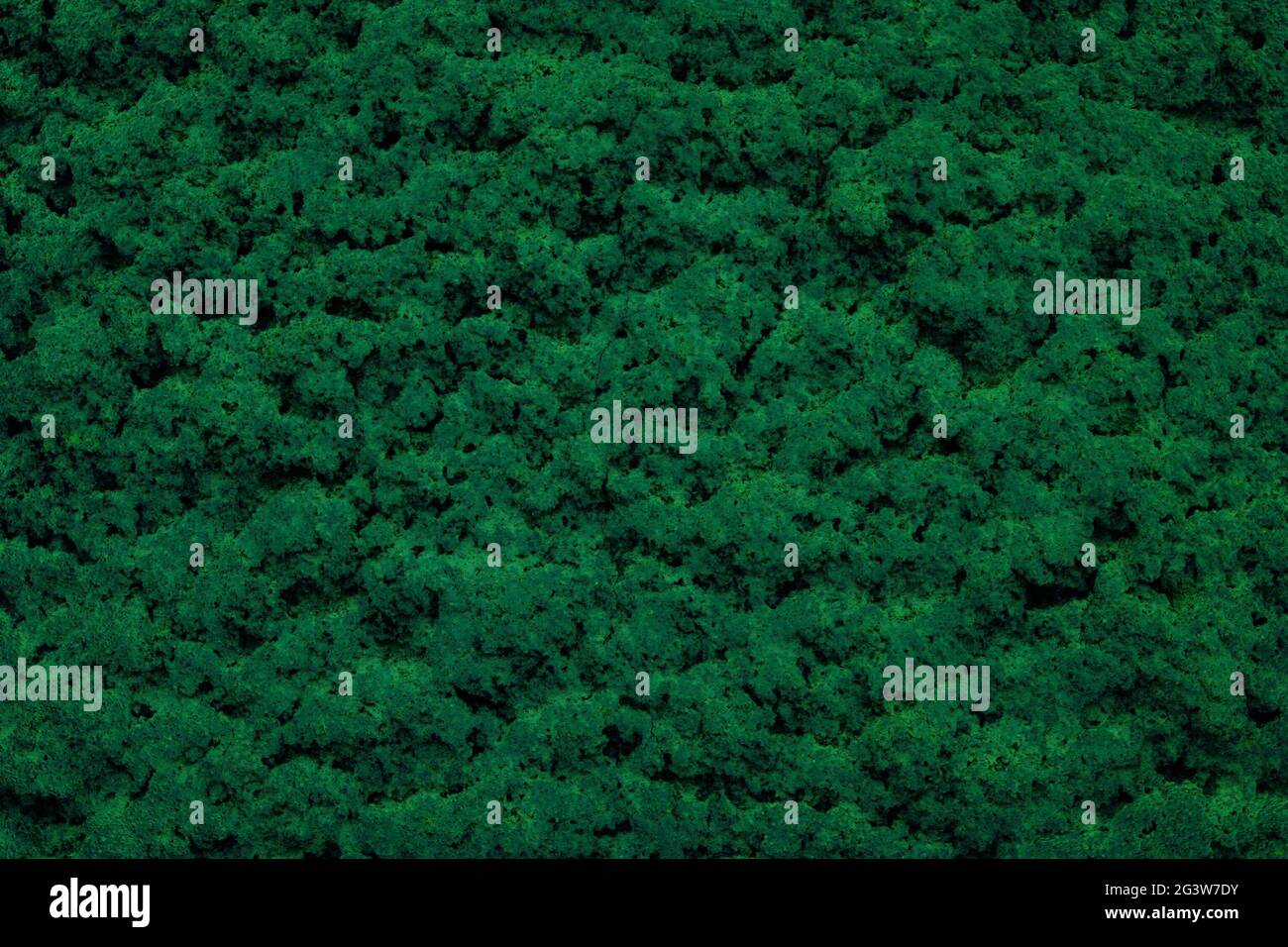 The rough surface of cement plaster background. Empty surface close-up. Stock Photo