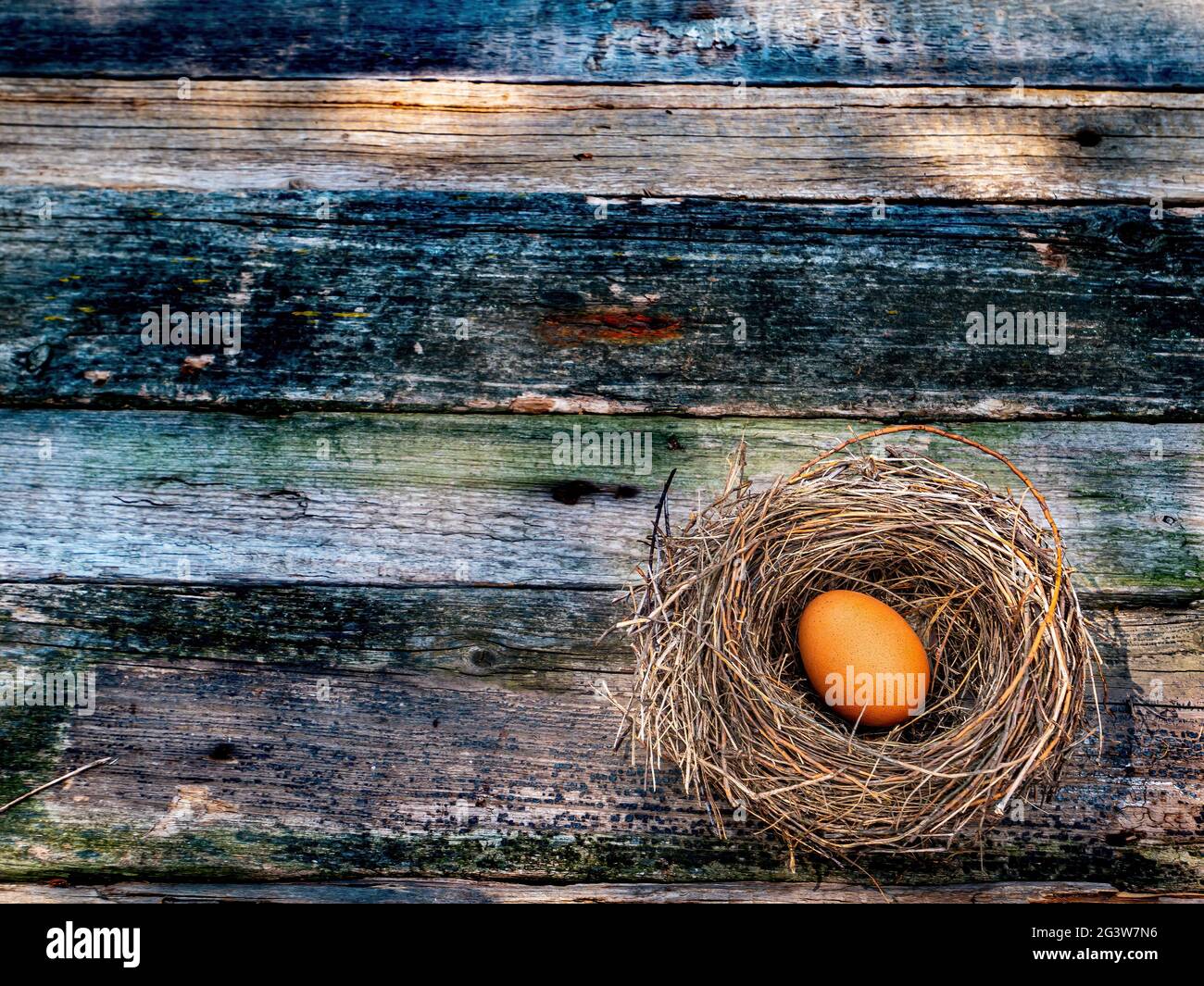 Chicken eggs in a bird's nest on a wooden table Stock Photo - Alamy