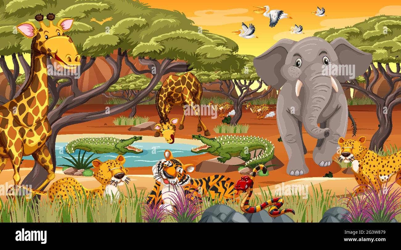 Wild animals in the jungle illustration Stock Vector Image & Art - Alamy