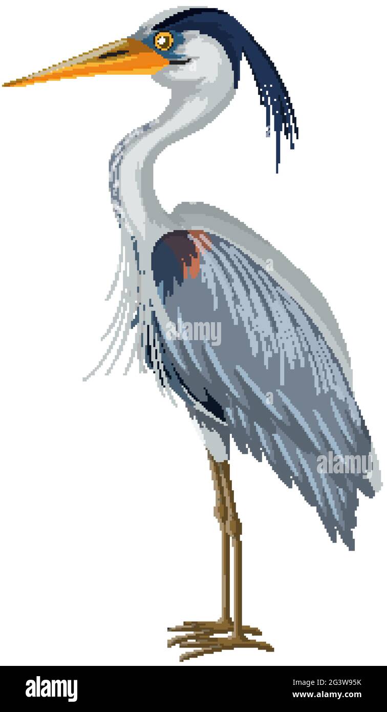 Great Blue Heron in cartoon style on white background illustration