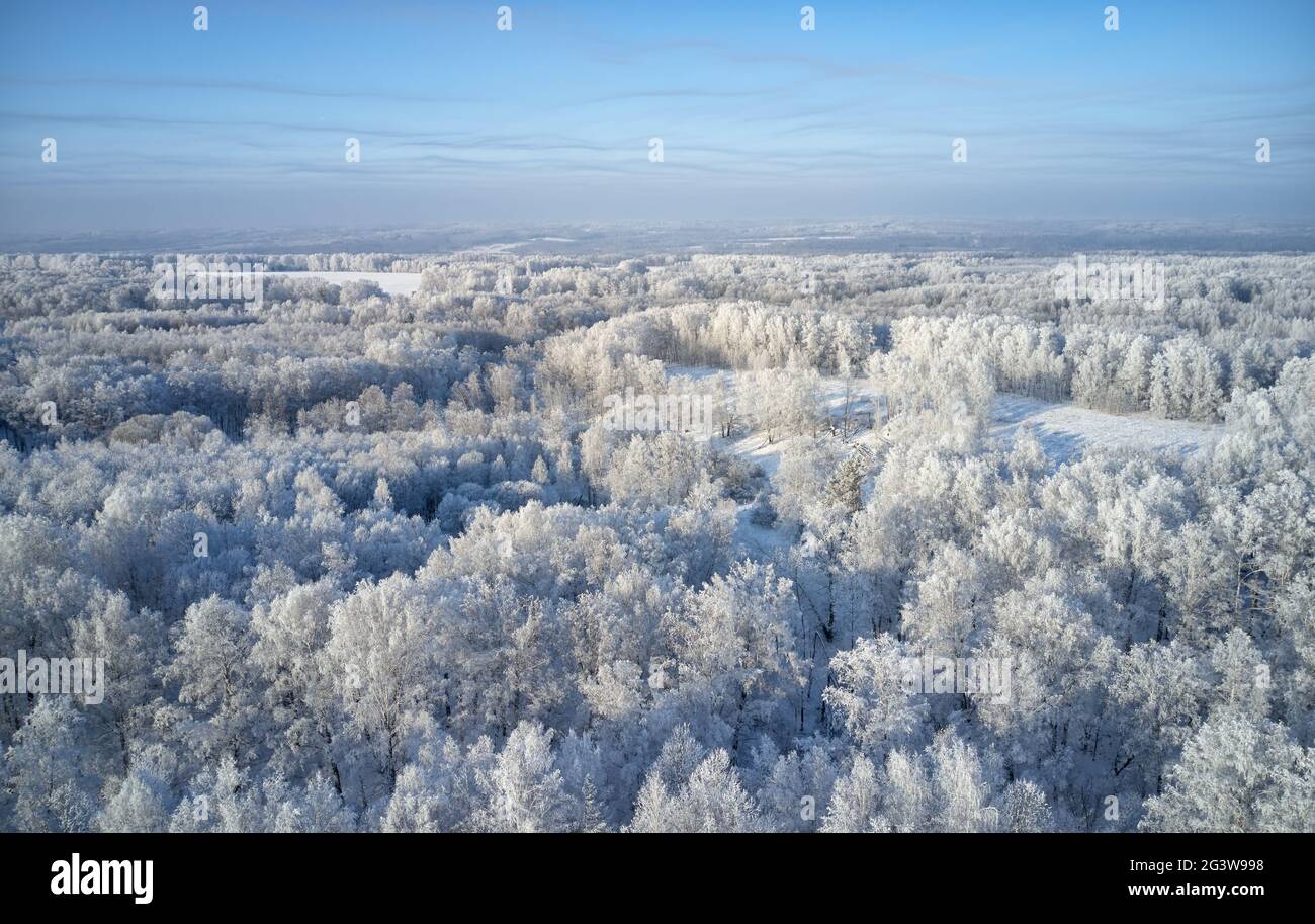 Drone over forest hi-res stock photography and images - Alamy
