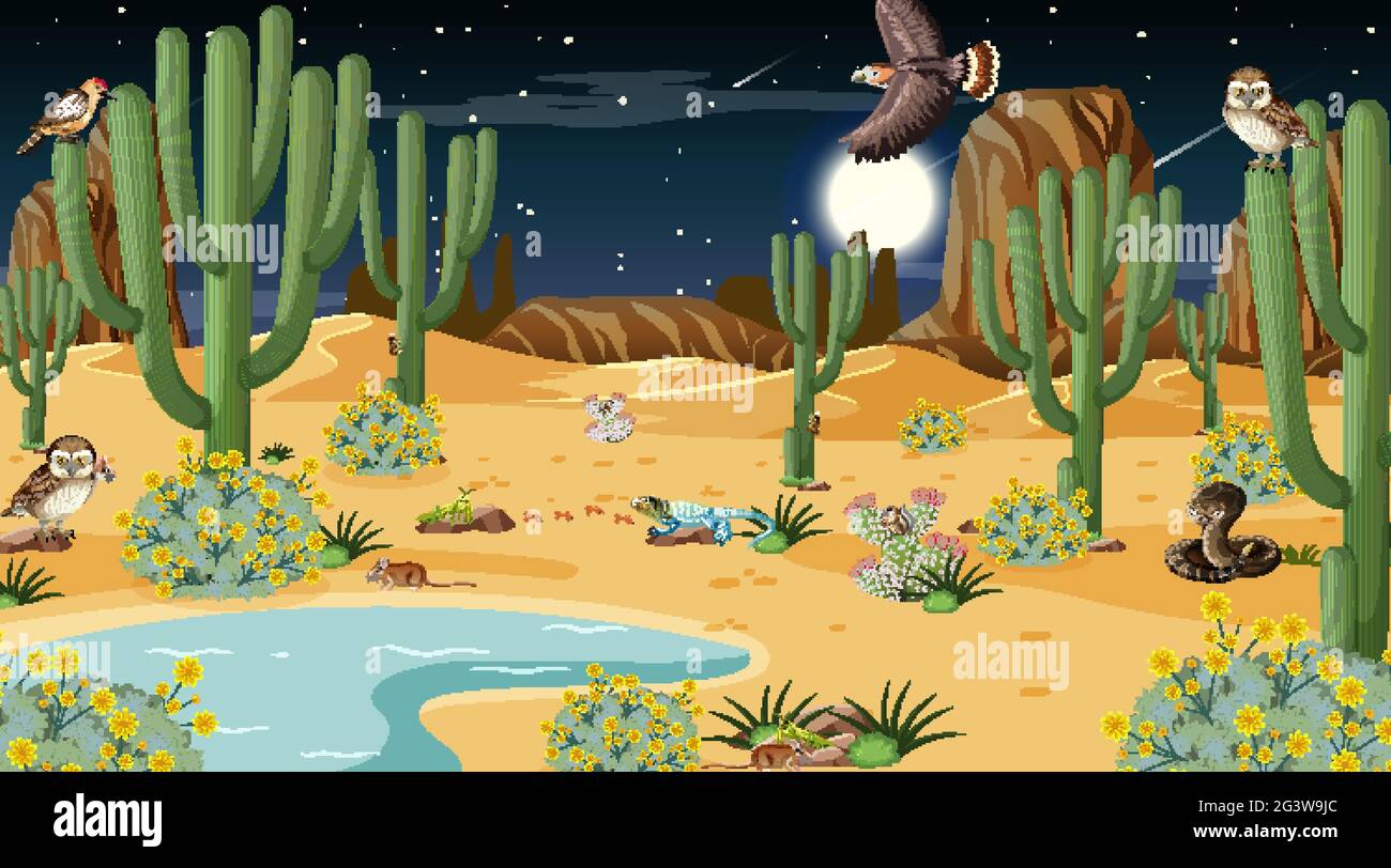 Desert forest landscape at night scene with desert animals and plants illustration Stock Vector Image & Art - Alamy Desert forest landscape at night scene with desert animals and plants illustration Stock Vector Image & Art - Alamy