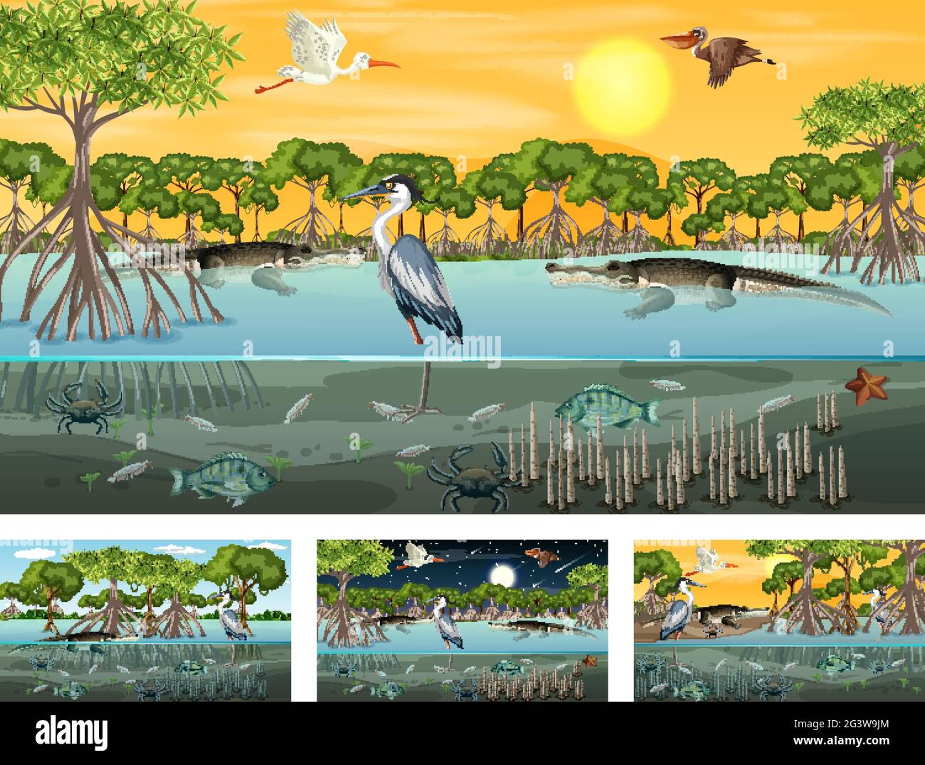 Different mangrove forest landscape scenes with various animals ...