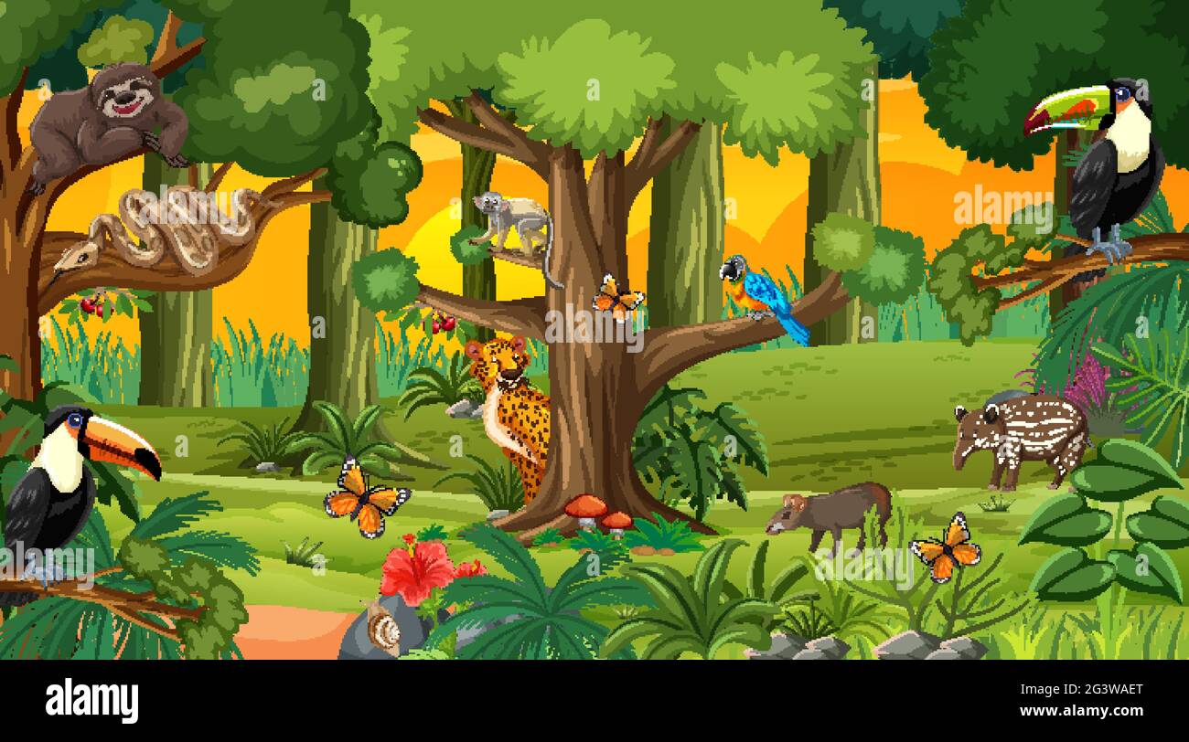 Forest at sunset time landscape scene with different wild animals ...