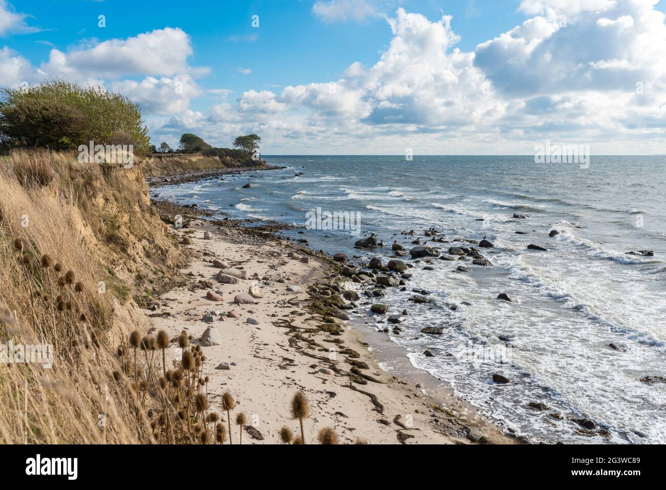 Cliffed coast in the south-east of the island of Fehmarn Stock Photo