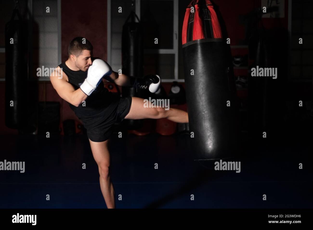 Muscular handsome kickboxing fighter giving a forceful kick during a practise round with a boxing bag. Stock Photo