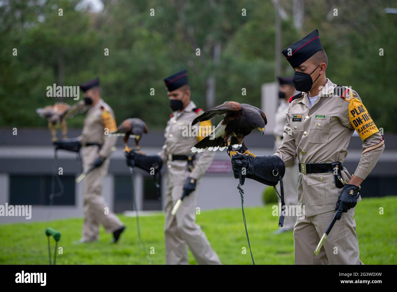 Non Exclusive: MEXICO CITY, MEXICO - JUNE 17: A cadet of the Mexican Army, performs a training of the Royal Eagle (National symbol ) prior to a milita Stock Photo