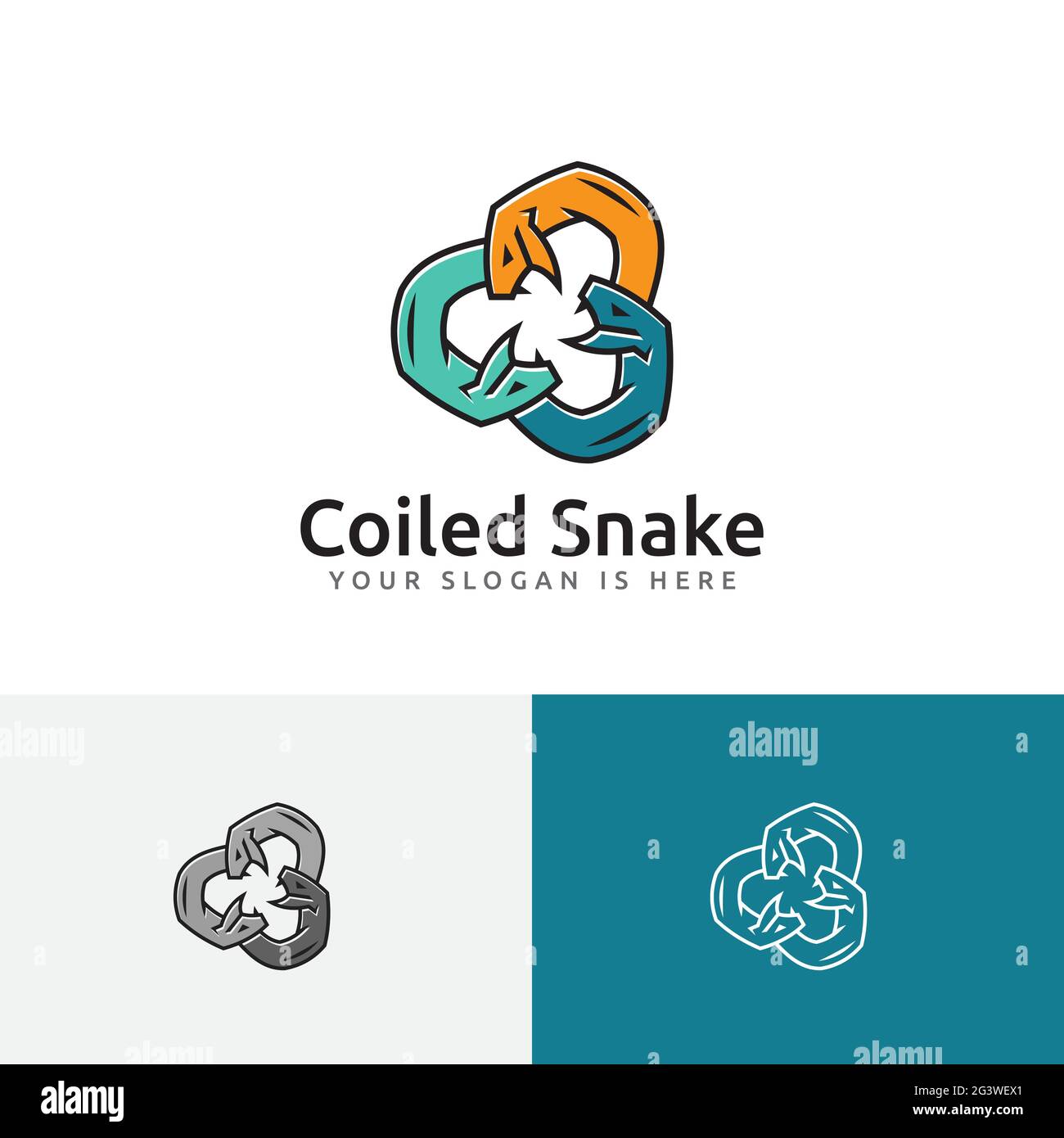 Coiled Snake Serpent Fangs Dangerous Wild Animal Group Team Logo Stock Vector