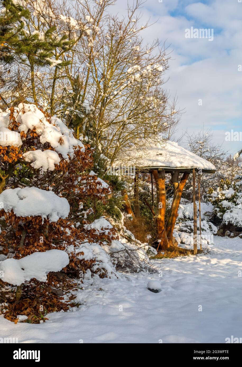 Beautiful winter garden covered by snow Stock Photo