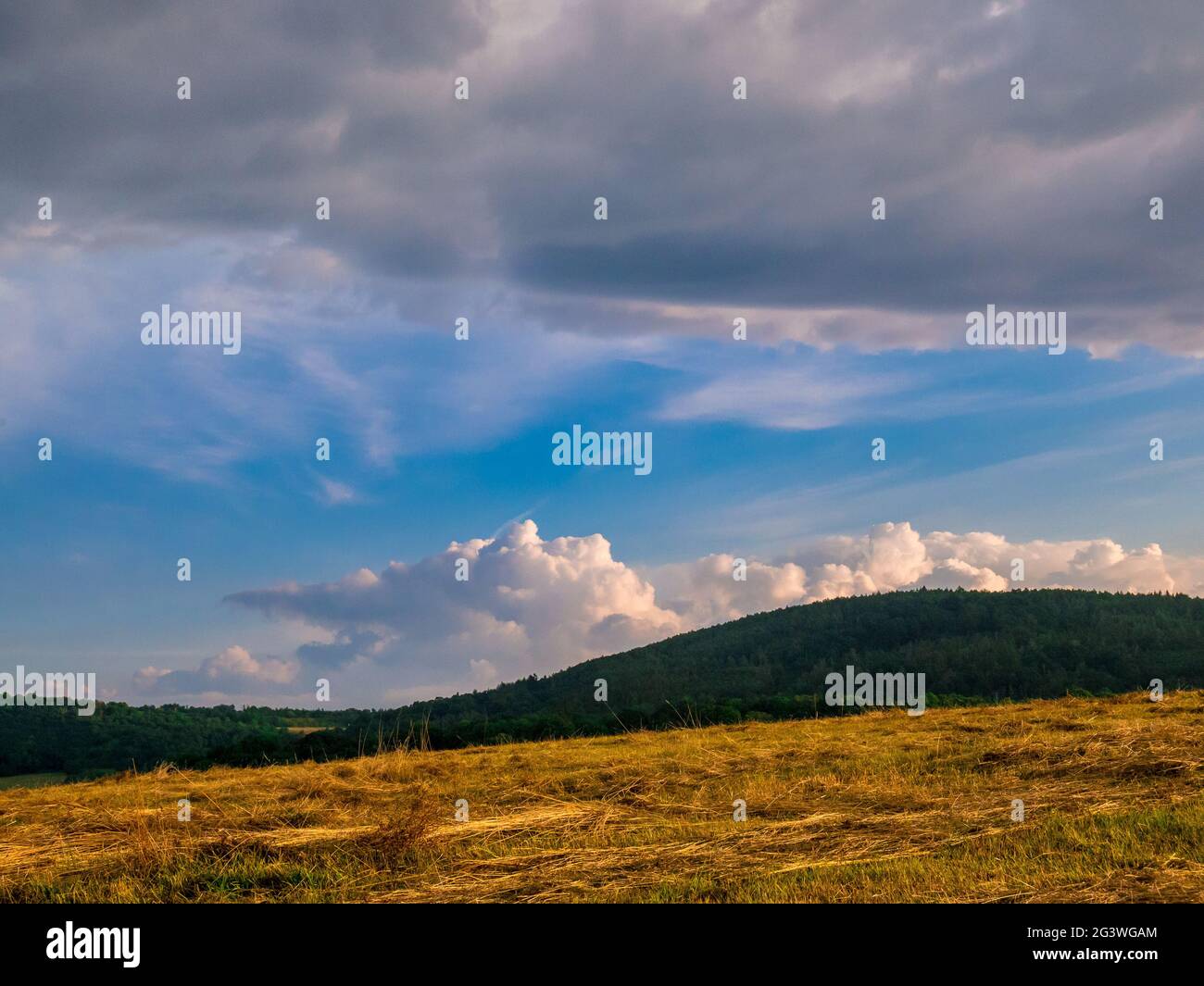 Massive clouds - towering cumulus - forming in the blue sky behind hilly landscape in the distance Stock Photo
