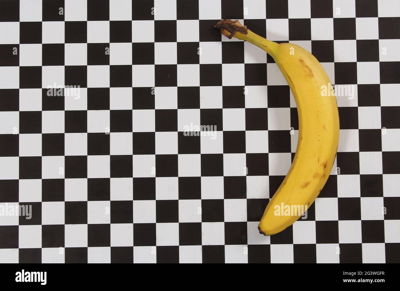 Illustration of International Banana Mirror Checkered Common Whisker