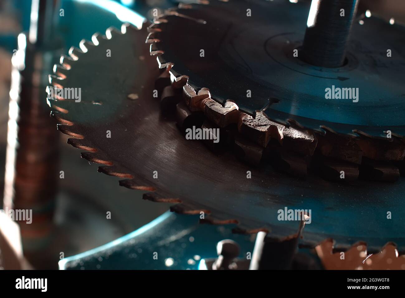 Sharp circular saw blades close up. Dangerous machine to cut up from