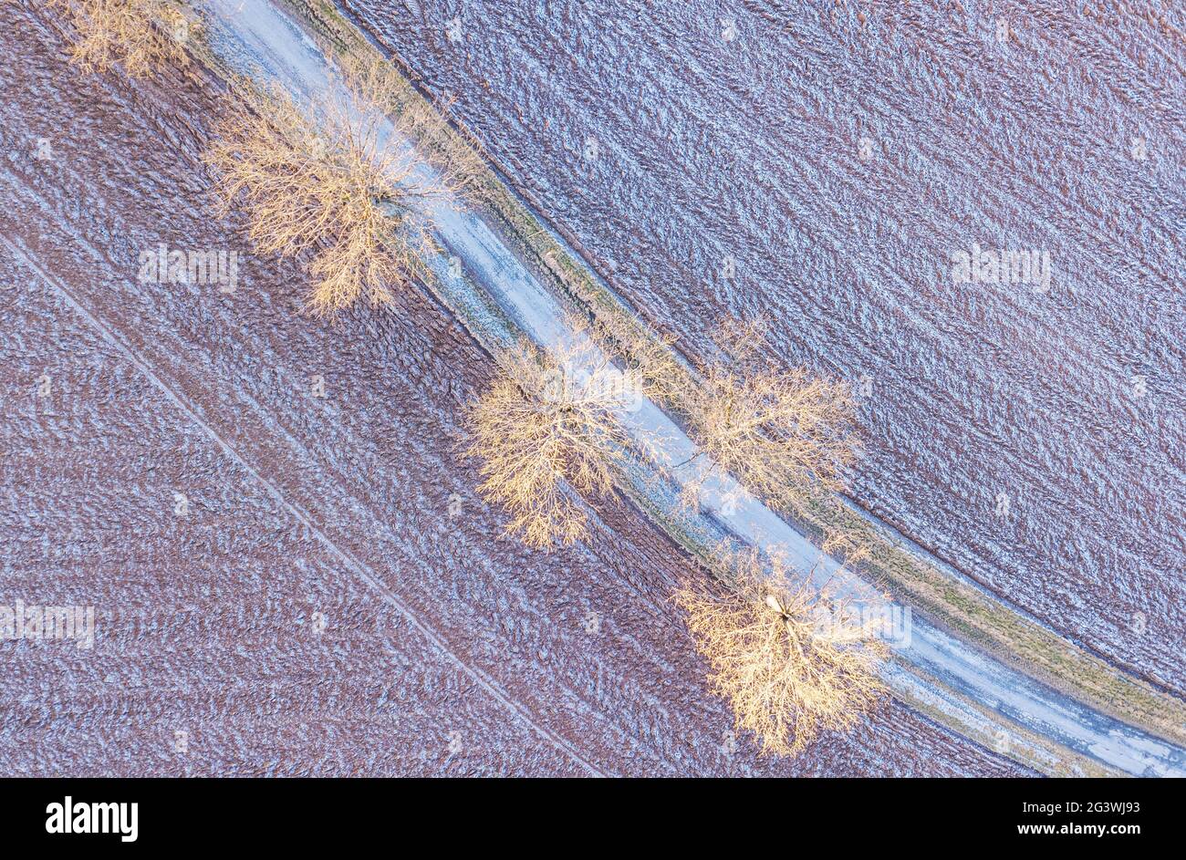 Windy winter road in snow covered fields Stock Photo