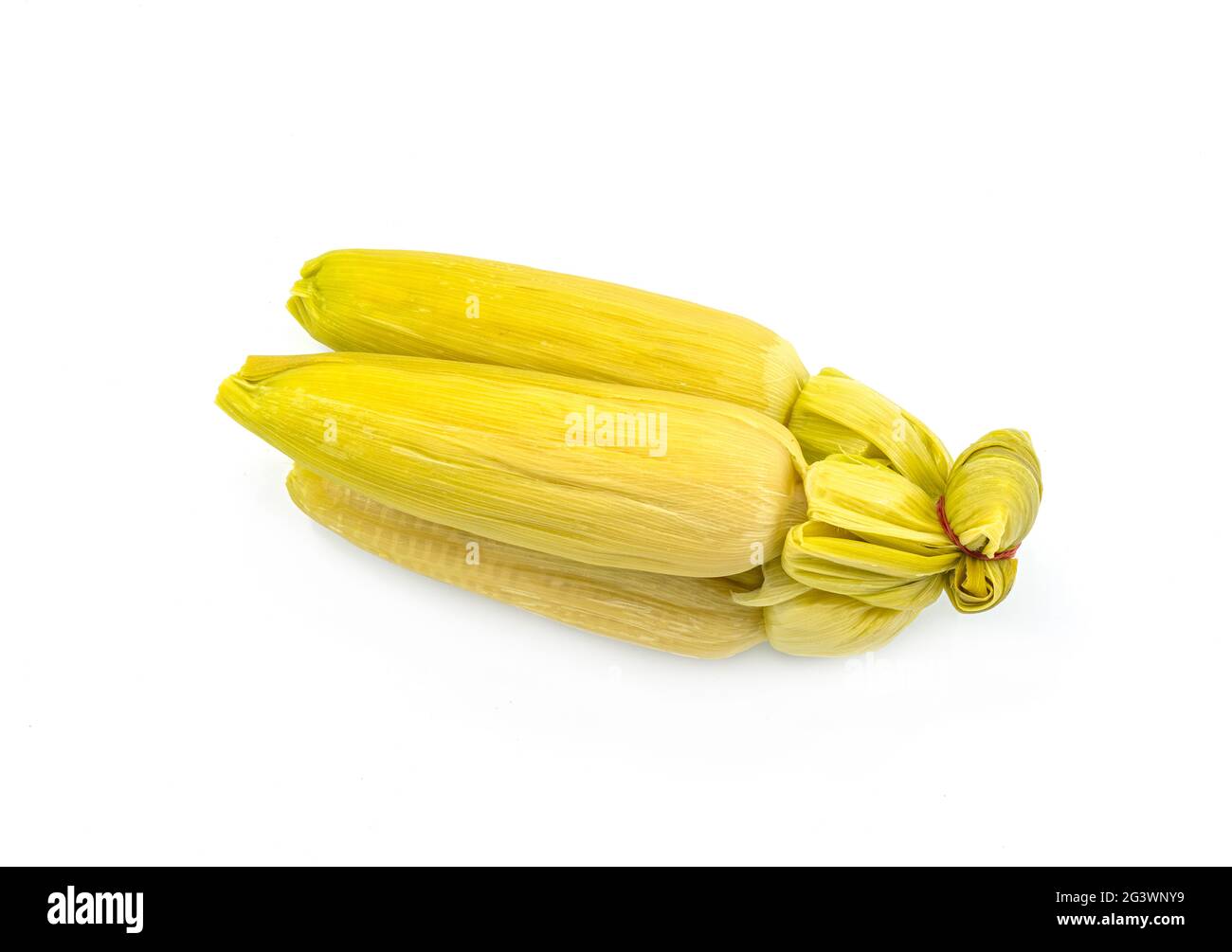 Organic group of fresh corn streamed in shell, the isolated image on white background. Stock Photo