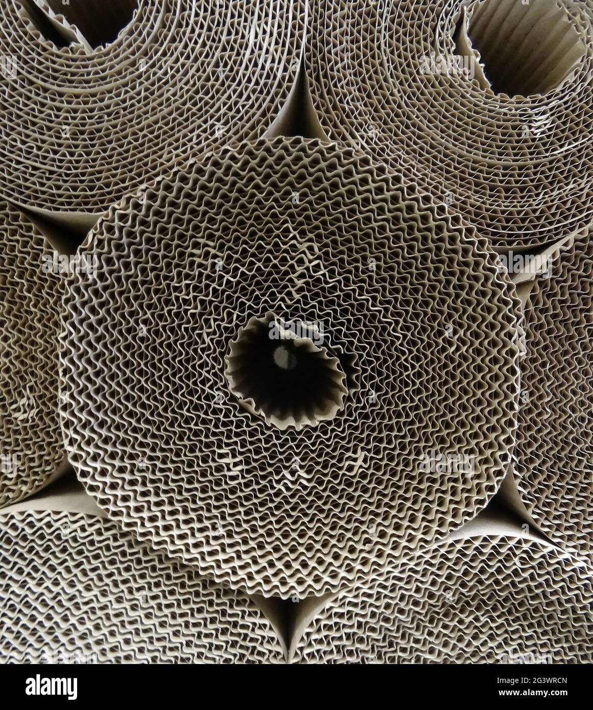 Stacked Rolls Of Packaging Cardboard Detailed Stock Photo Alamy