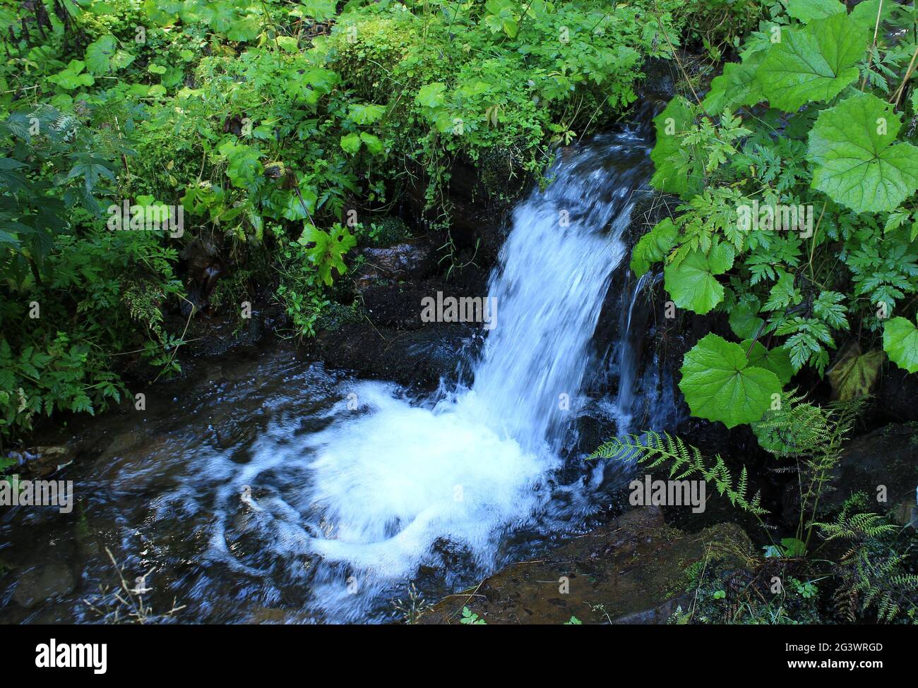 Small waterfall on clear mountain river hi-res stock photography and ...