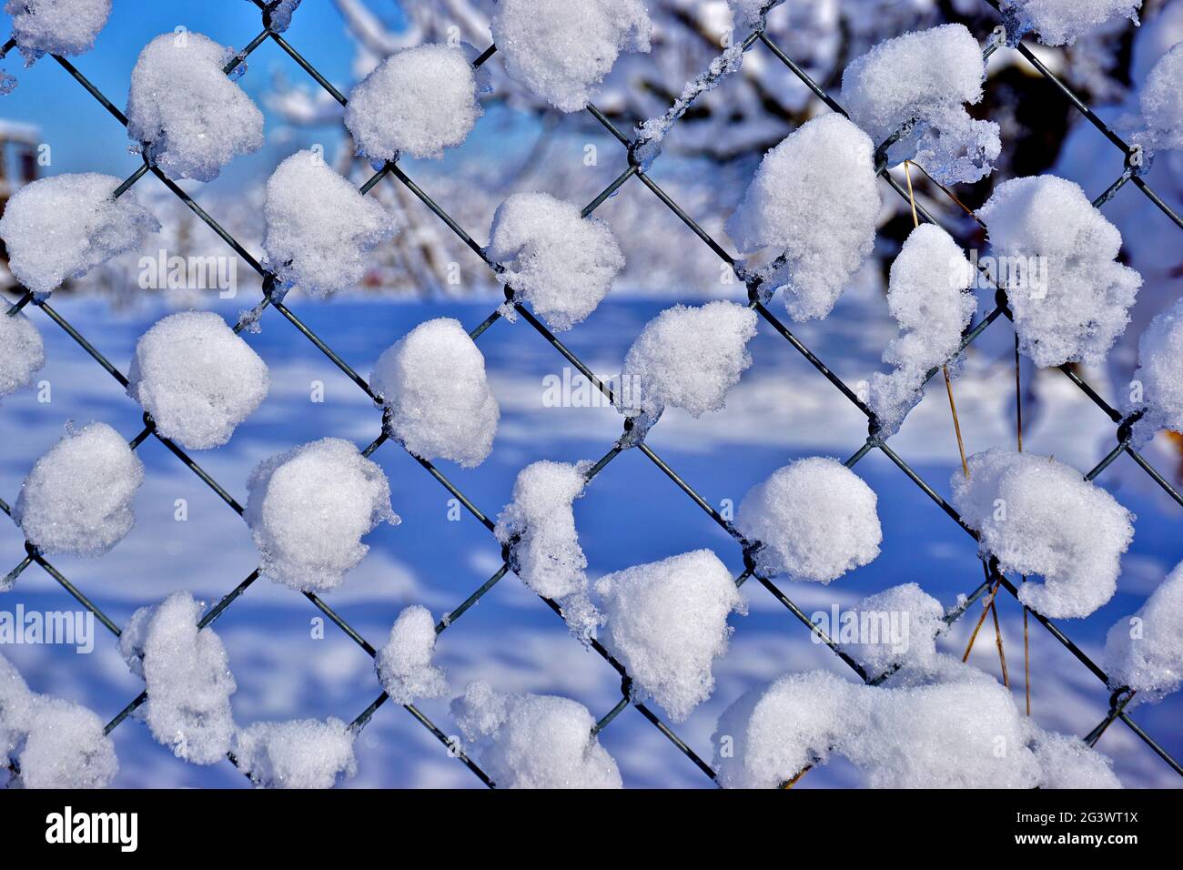 Chain link fence covered in snow Stock Photo - Alamy