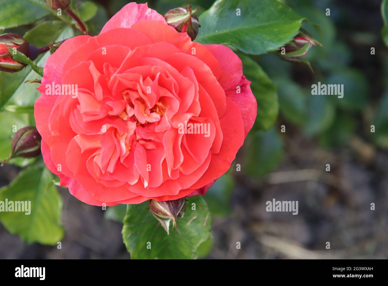 Page 3 - Gebrüder High Resolution Stock Photography and Images - Alamy