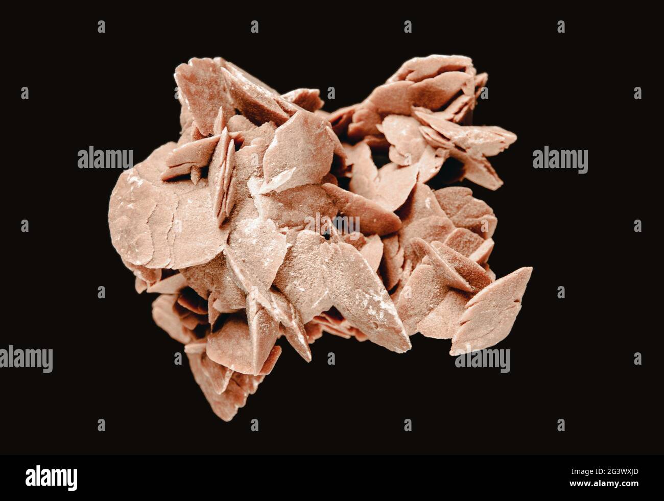 Desert rose crystal isolated on black background. Closeup view Stock Photo