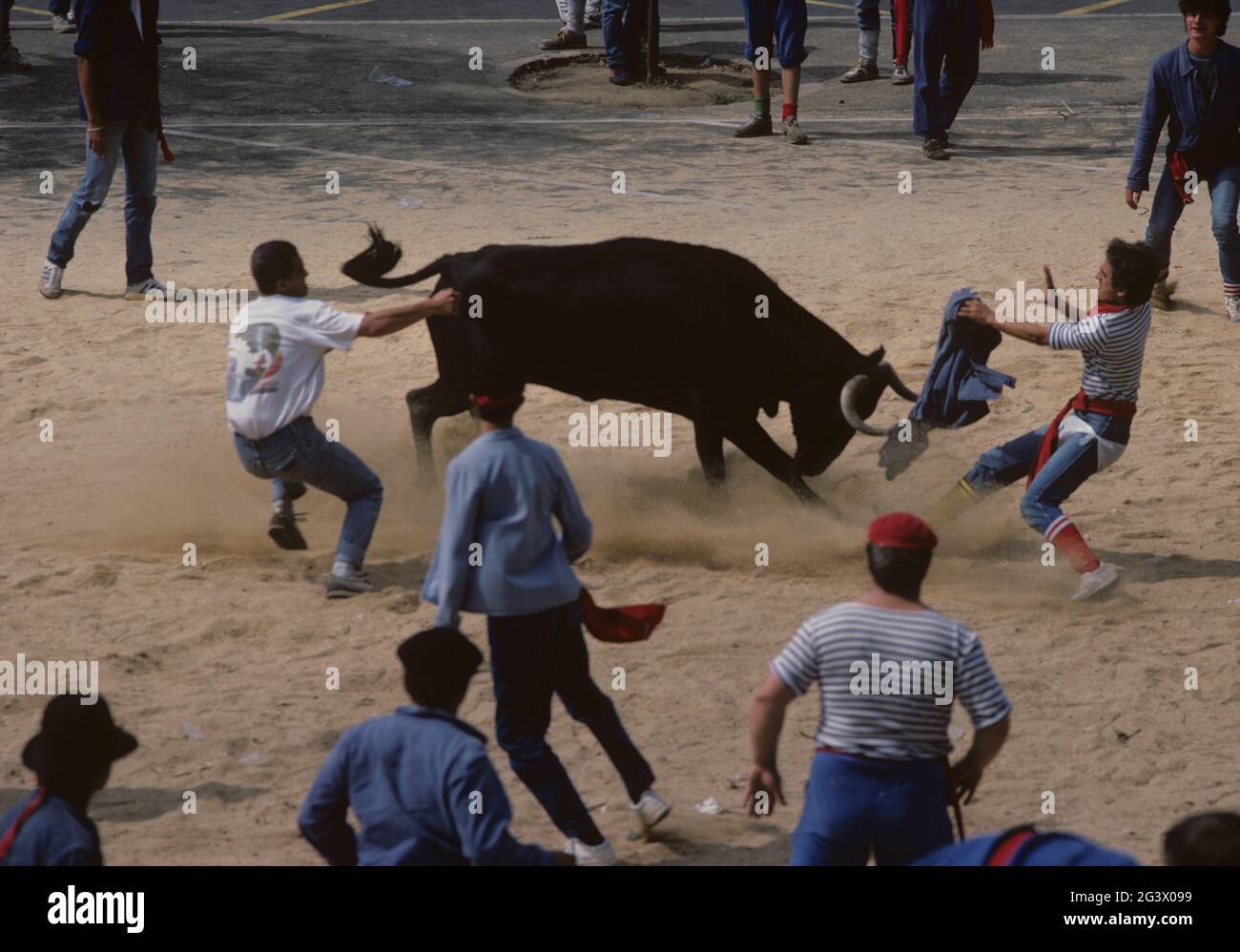 Cowhide race sale