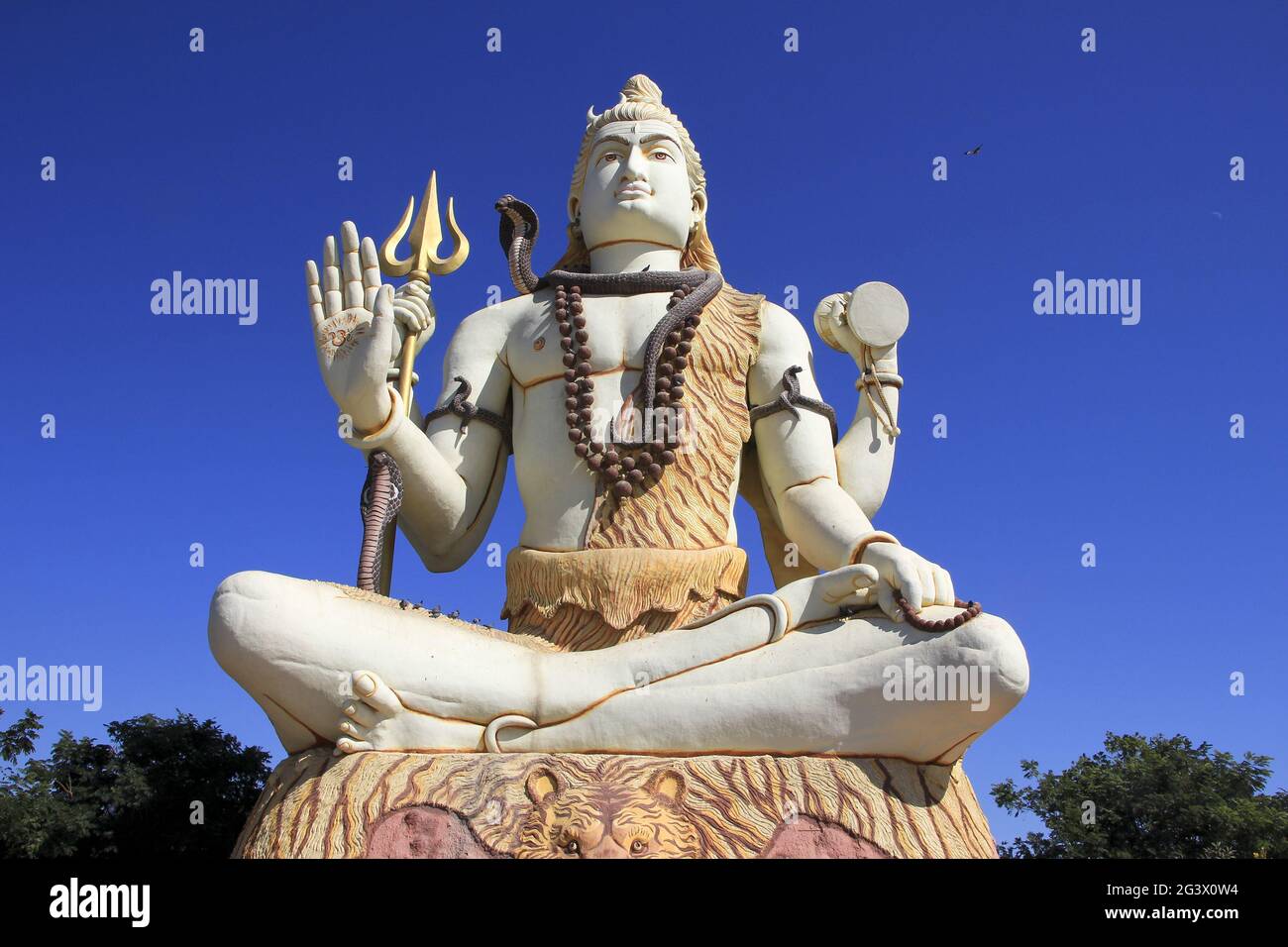 Did Lord Shiva always meditate in yogic asanas (postures)? - Quora