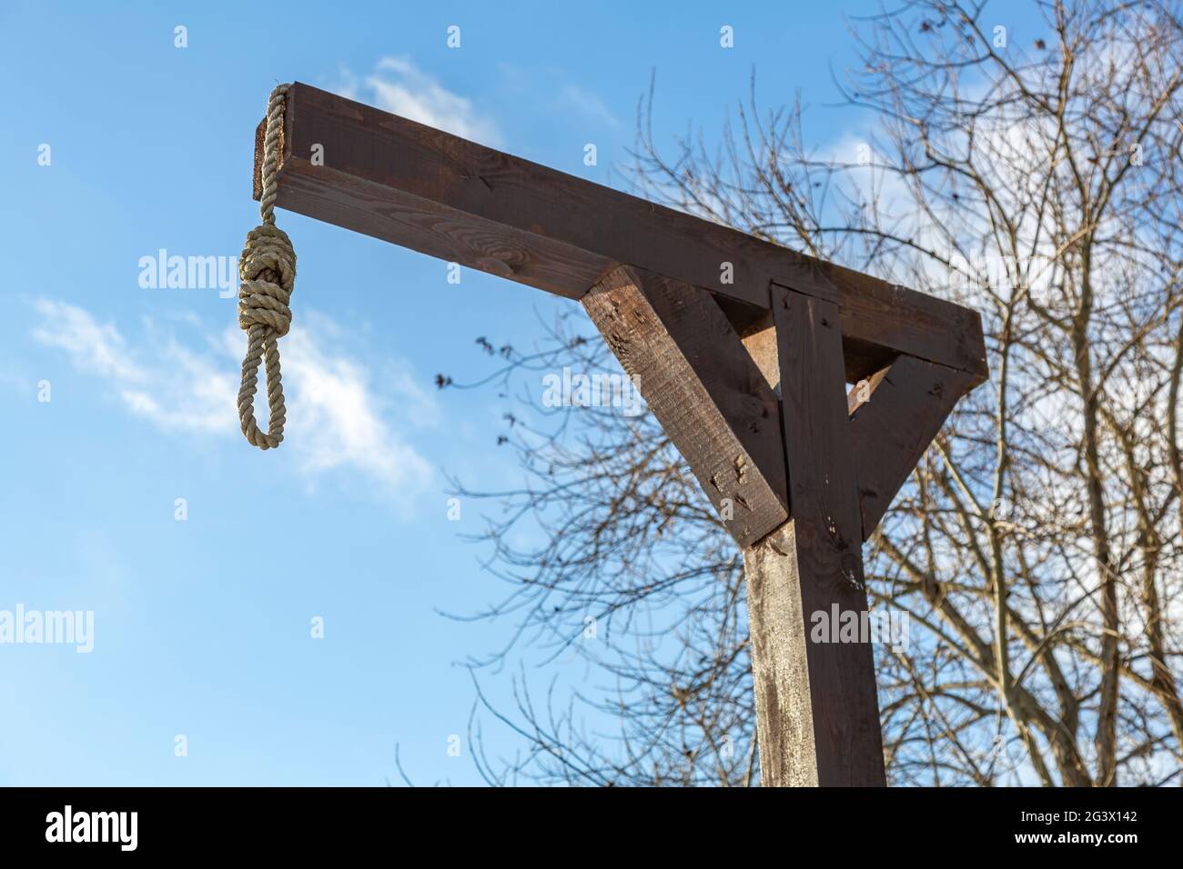 Wooden gallows on the background of branches and sky Stock Photo