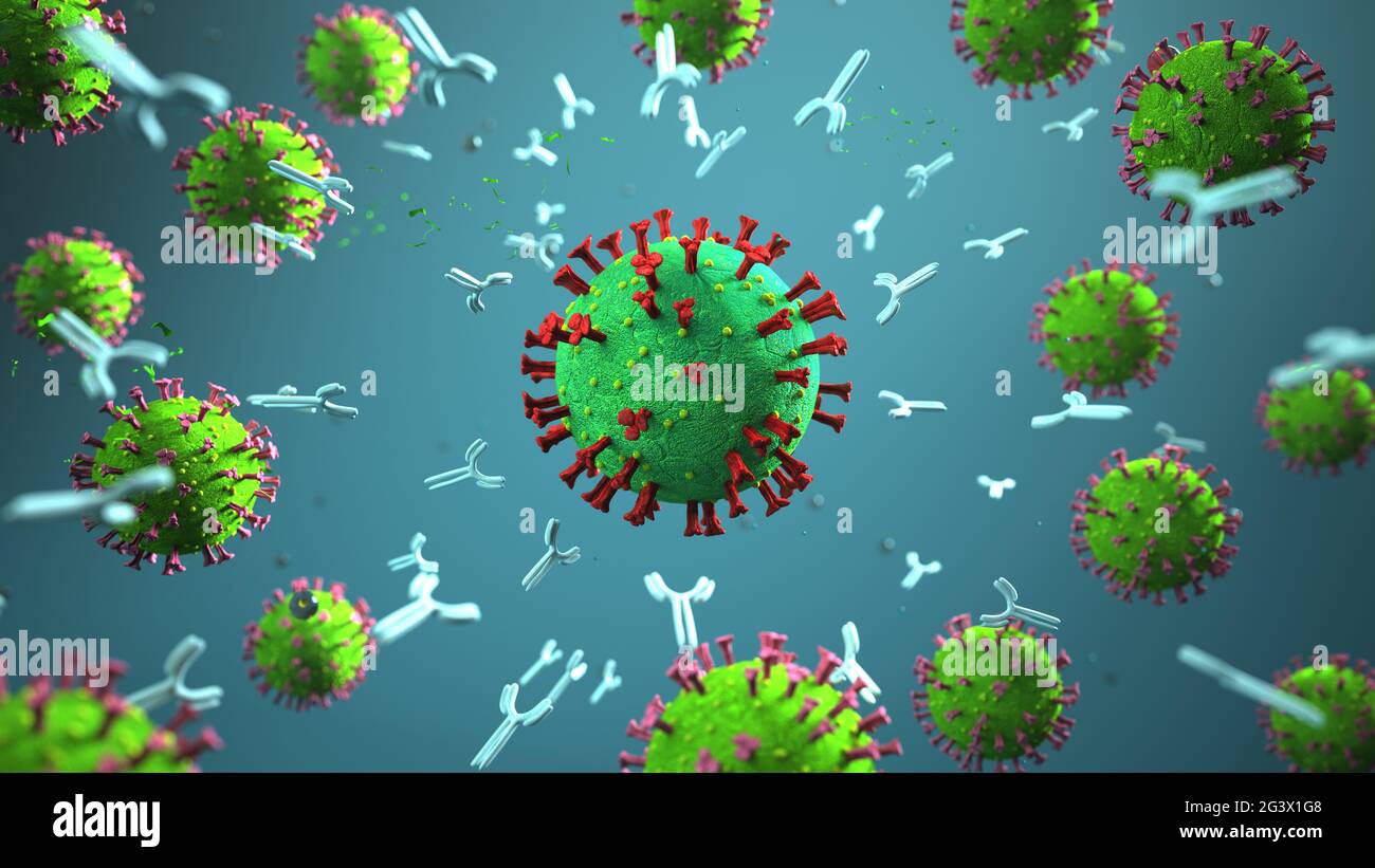 Antibodies against the coronavirus Stock Photo