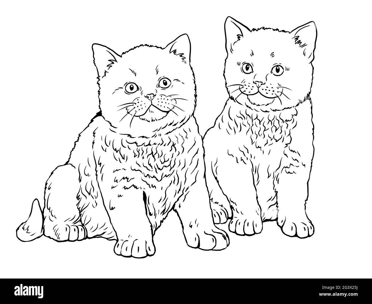 Cute kittens for coloring. Template for a coloring book with little cats. Stock Photo