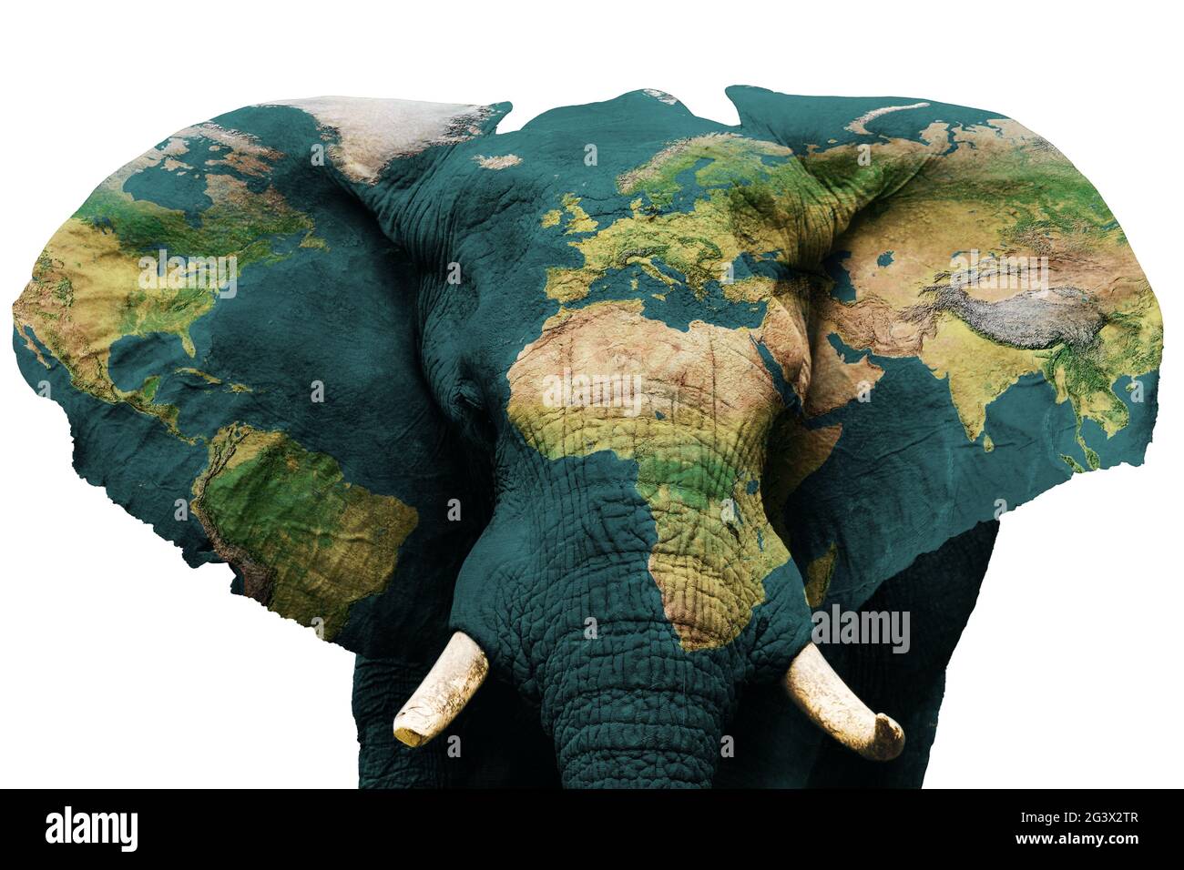 Isolated image of elephant with earth painted on skin. Stock Photo