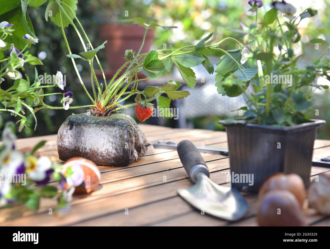 Table for growing plants deals