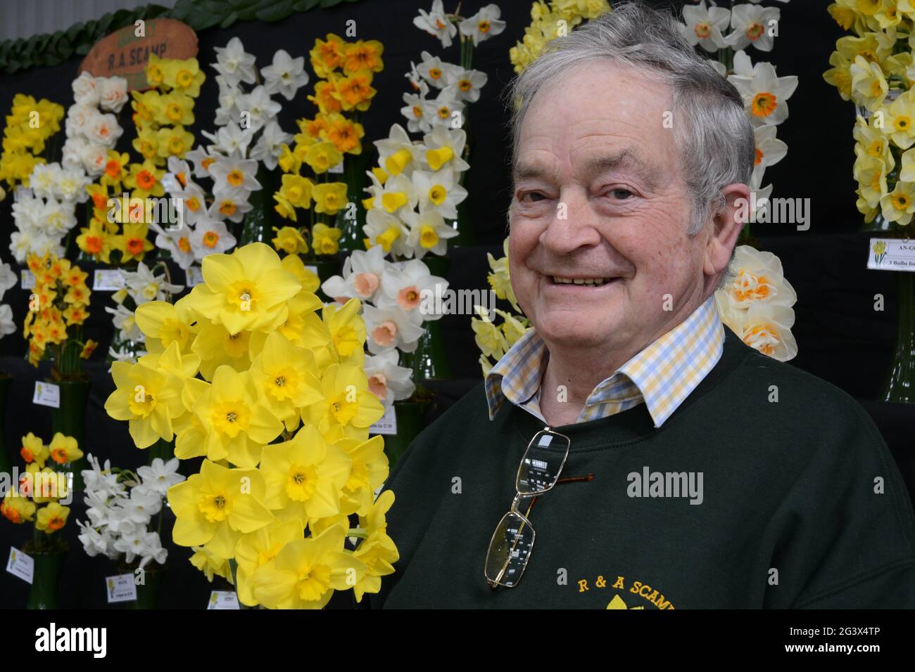 Daffodil expert and master grower Ron Scamp in Falmouth, Cornwall, UK