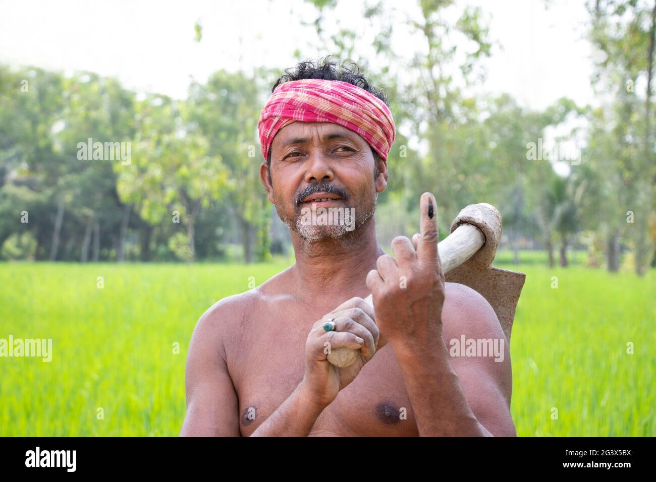 Portrait of a Farmer holding a Shovel with voters mark on finger in ...