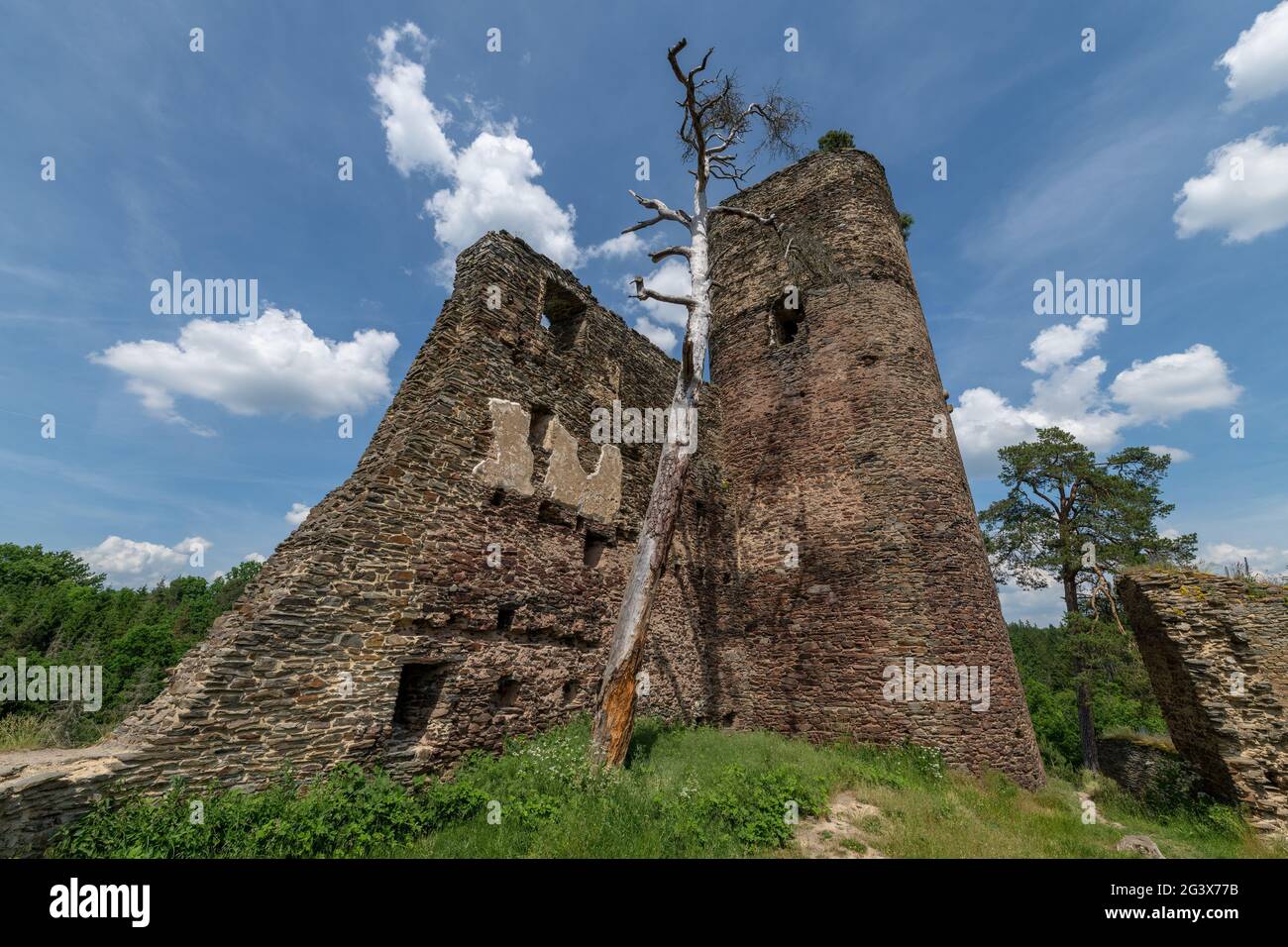 The romantic ruins of the Gutstejn Castle with its beautiful landscape are located above the tributary of the Utersky Brook southeast of Bezdruzice Stock Photo