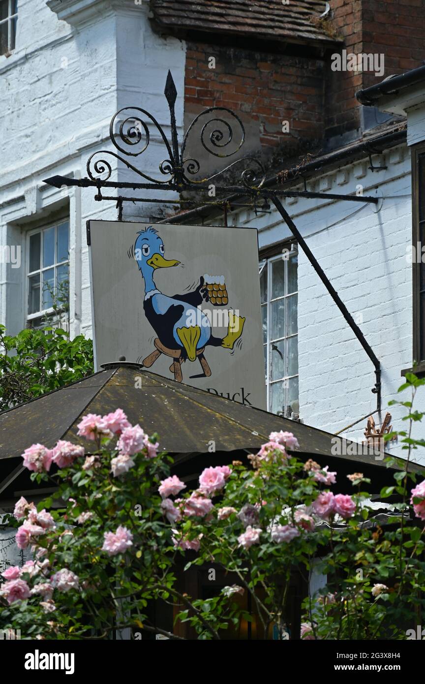 Dirty Duck pub sign, Watersdie, Stratford upon Avon, Warwickshire. The true name of the pub is The Black Swan and this name is shown on the reverse of Stock Photo